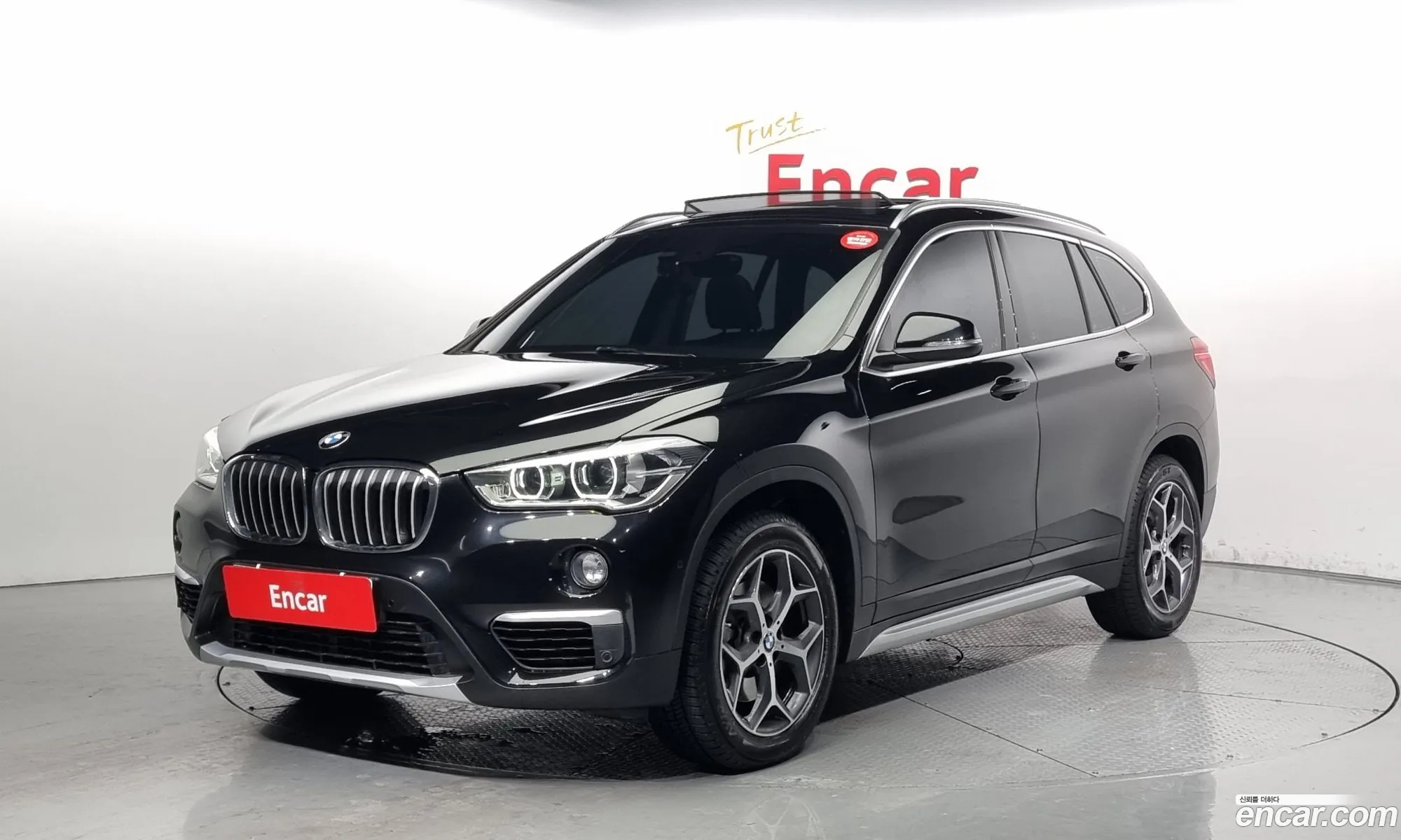 BMW X1 Ii F48 xDrive 20D Xline 2019 - фотография 202354