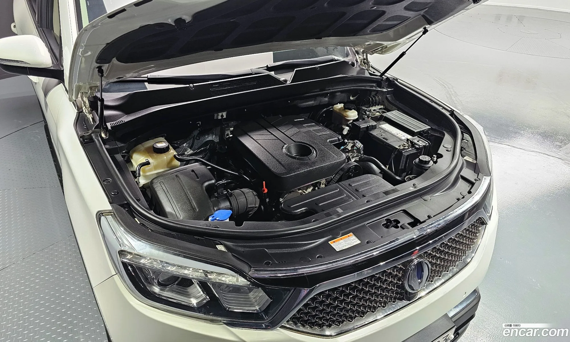 Ssangyong Rexton Diesel 22 4Wd 2018 - фотография 15160177