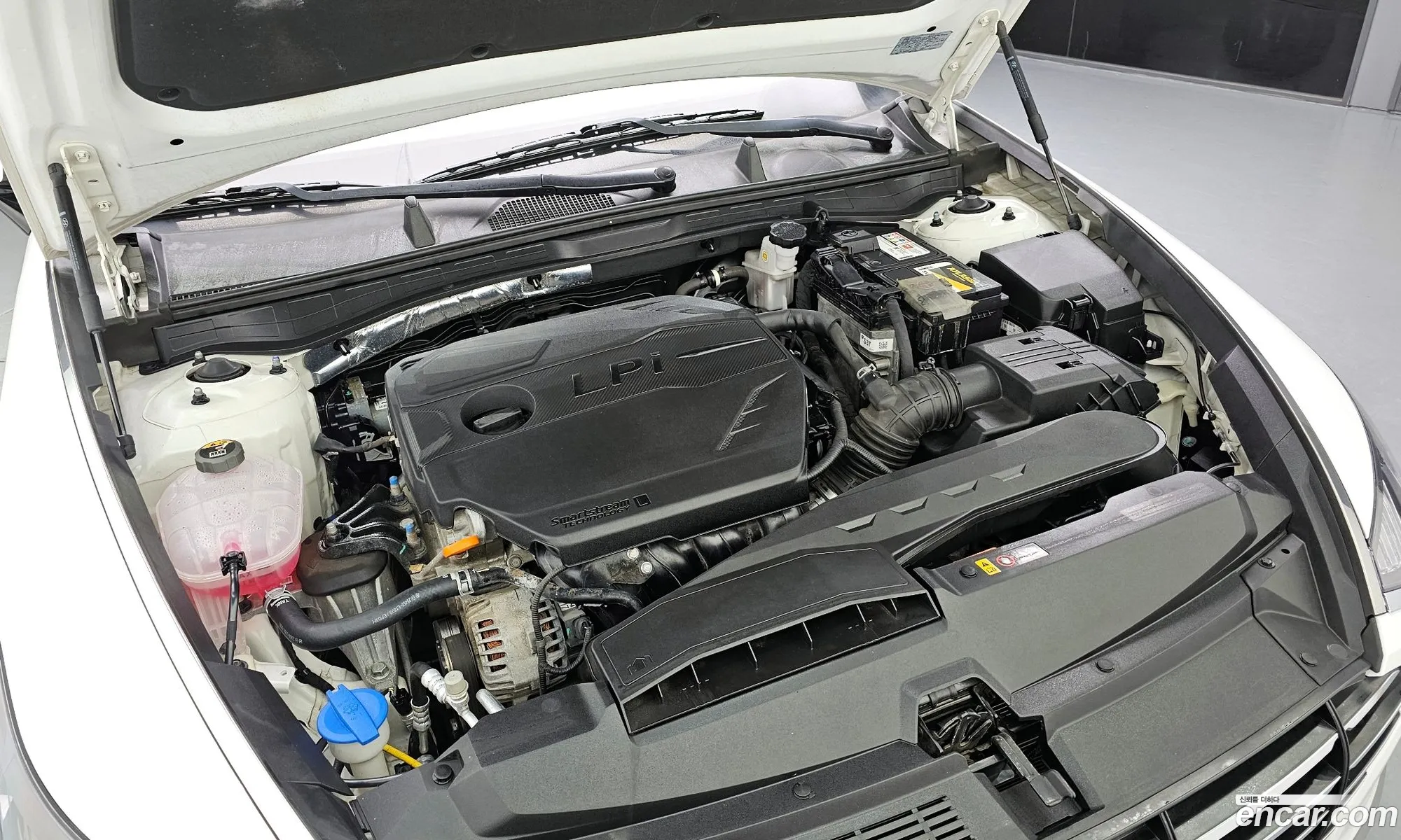 Hyundai Sonata Viii Dn8 20 Lpg For Rental Cars 2020 - фотография 11953025