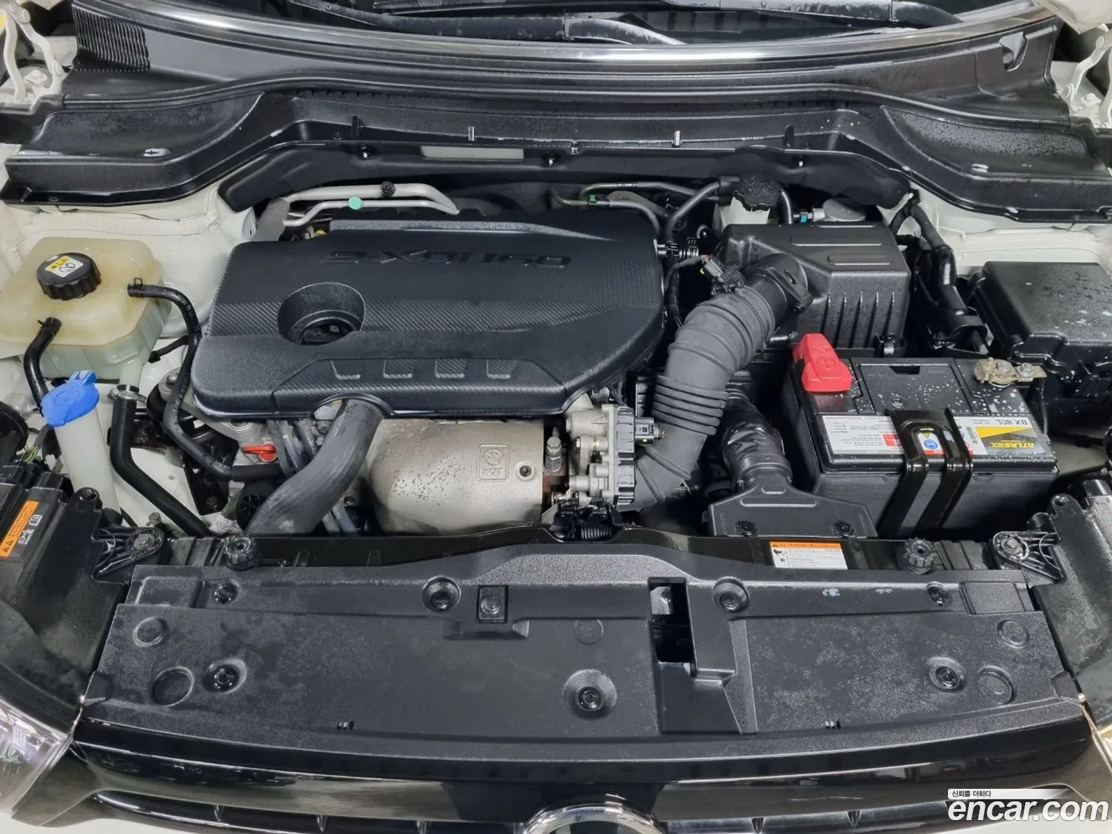 Ssangyong Tivoli Tivoli Diesel Lx 2Wd 2016 - фотография 17205231