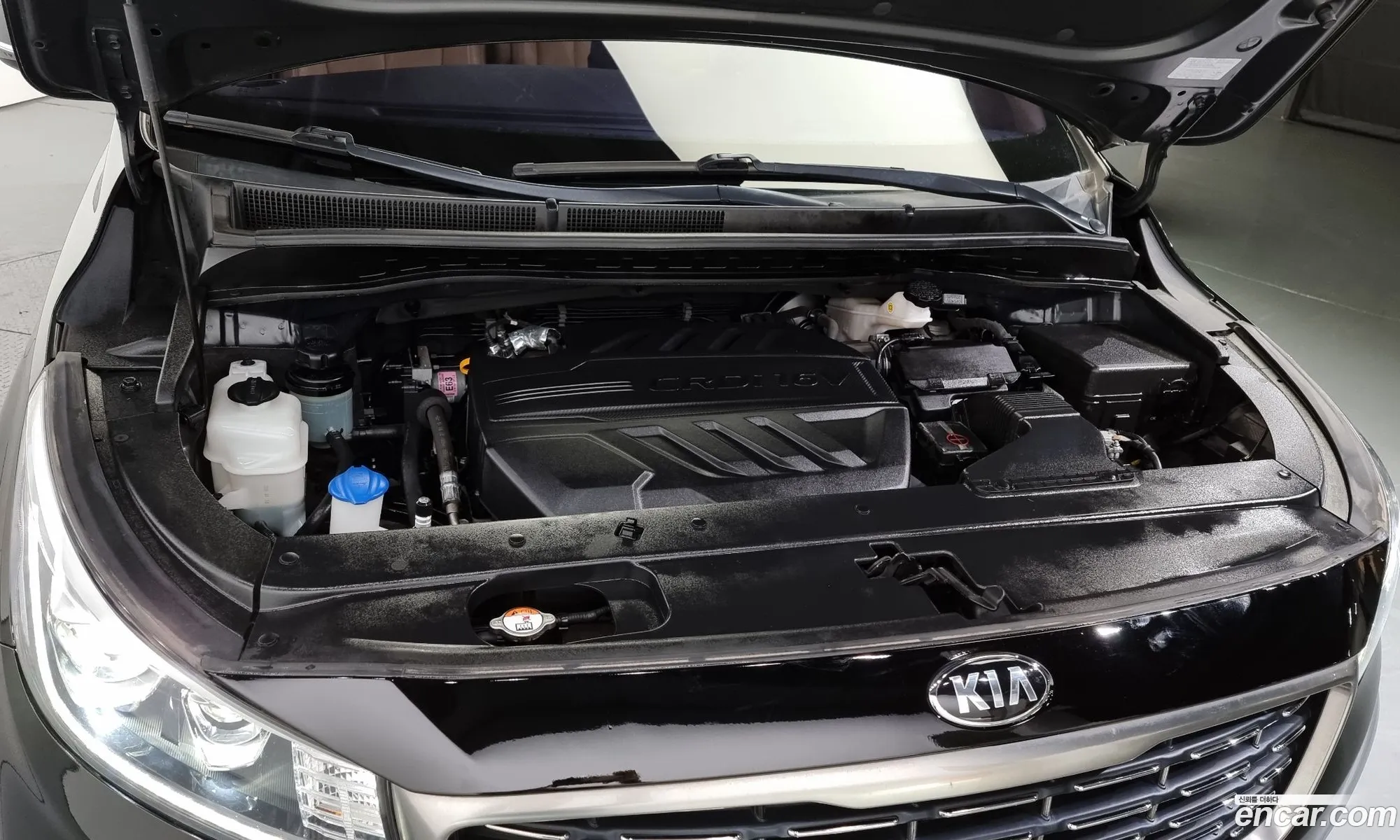 Kia Carnival Iii 7-Seater Limousine 2019 - фотография 11070717