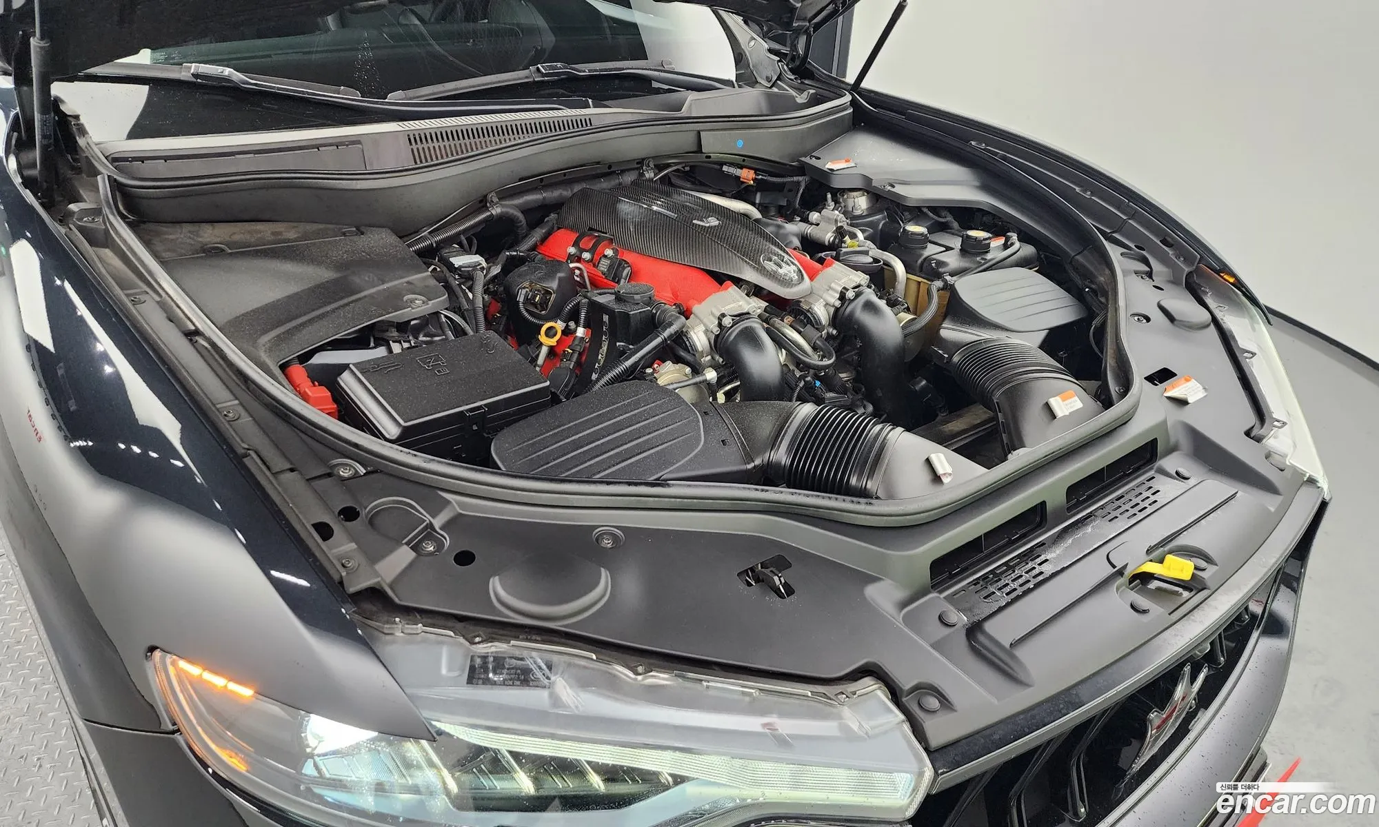 Maserati Levante I 38 Trofeo 2020 - фотография 3723815