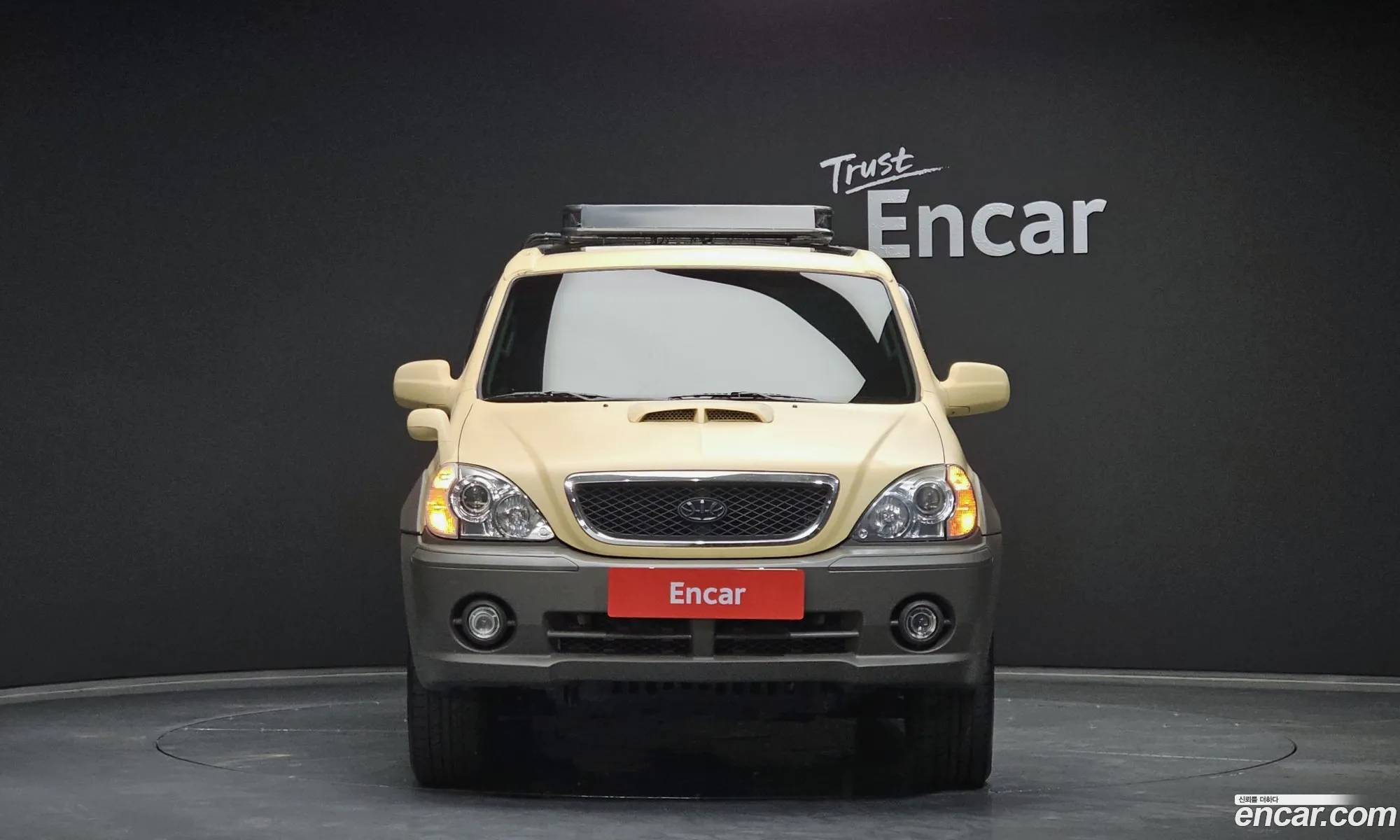 Hyundai Terracan I 4Wd Jx290 Gold 2002 - фотография 16779779