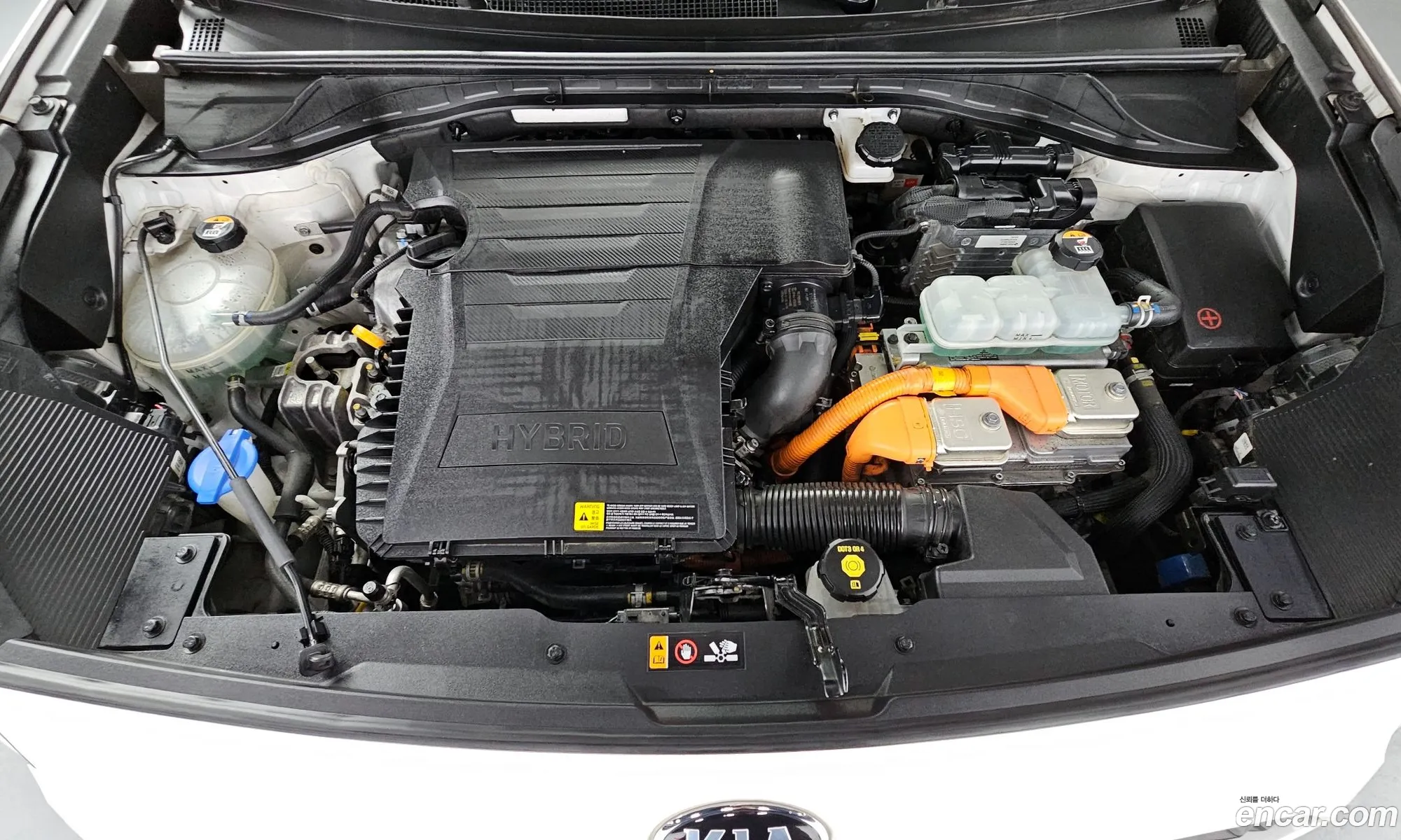 Kia Niro I 16 Hev 2020 - фотография 12445676