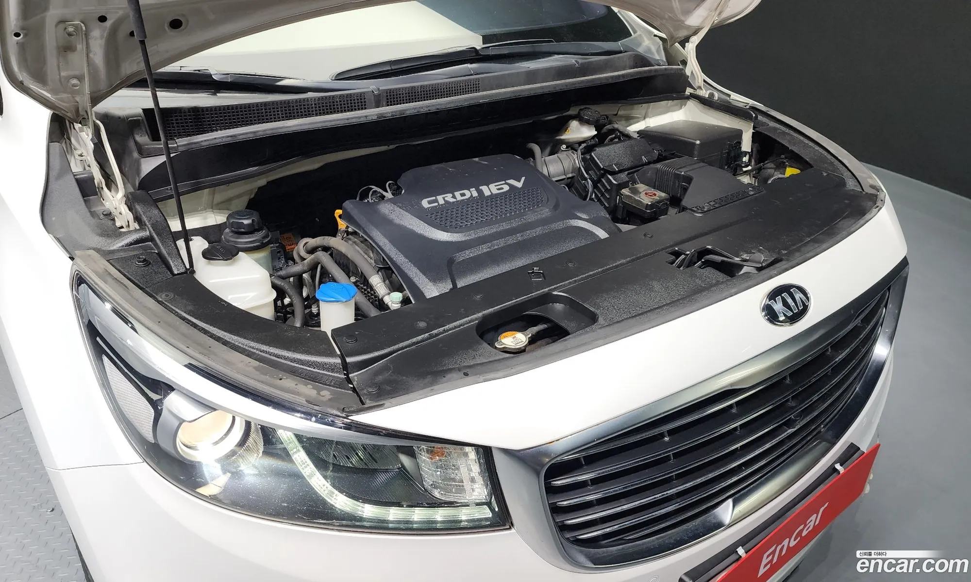 Kia Carnival 9-Seater Noblesse Special 2018 - фотография 13565679