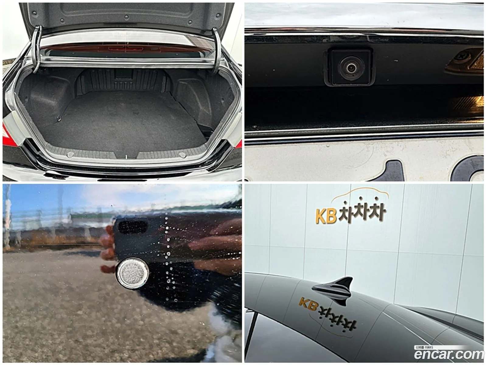 Korex Auto Trade - фотография 18621131