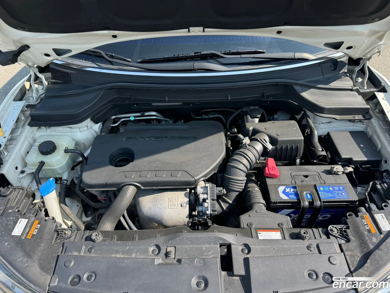 Ssangyong Tivoli Tivoli Diesel Lx 2Wd 2016 - фотография 17505278