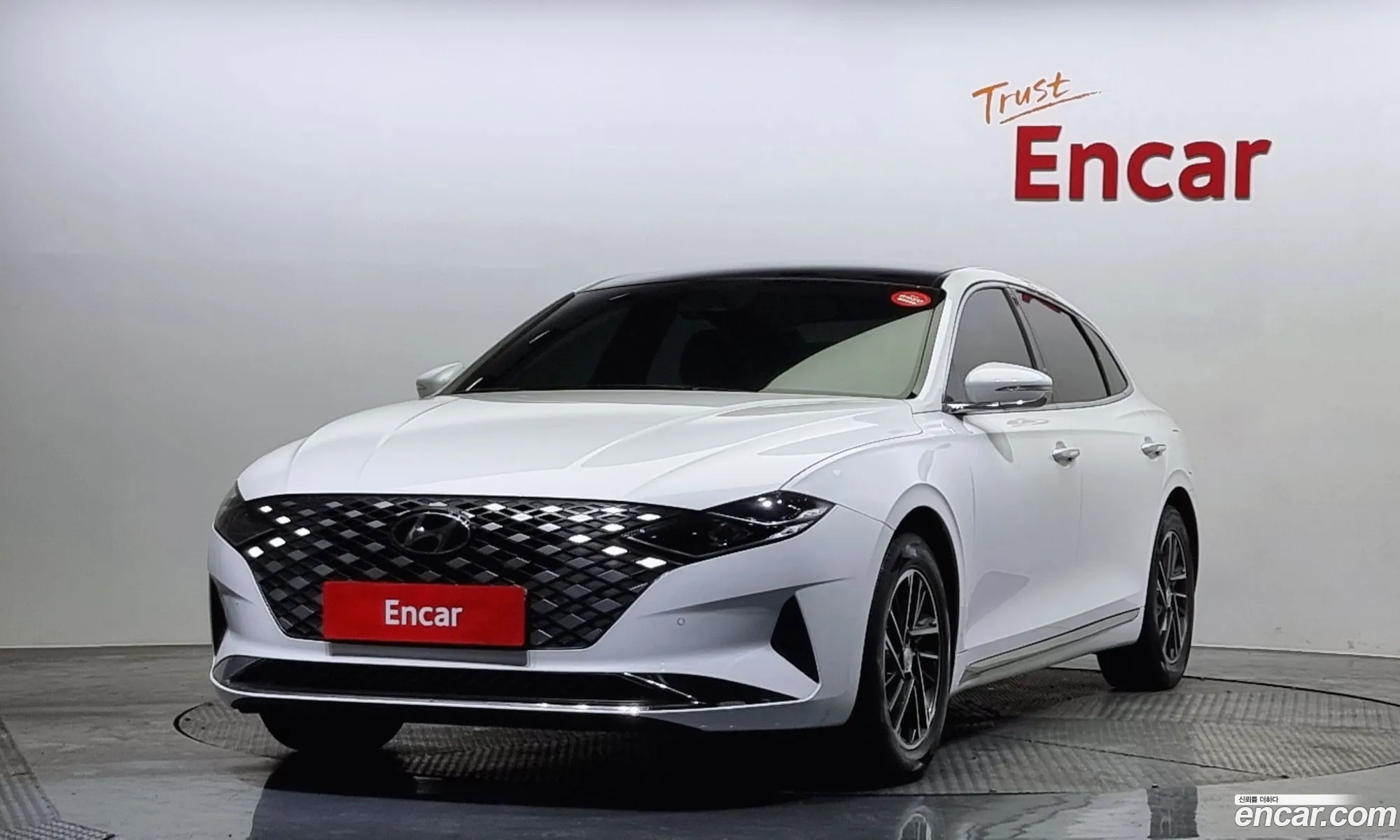 Hyundai The New Grandeur Ig 30 Lpi Taxi Type High-End Model - фотография 18317336