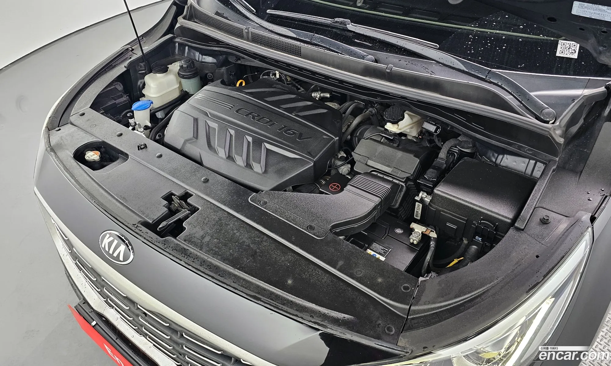 Kia Carnival Iii 9-Seater Noblesse 2019 - фотография 11217389