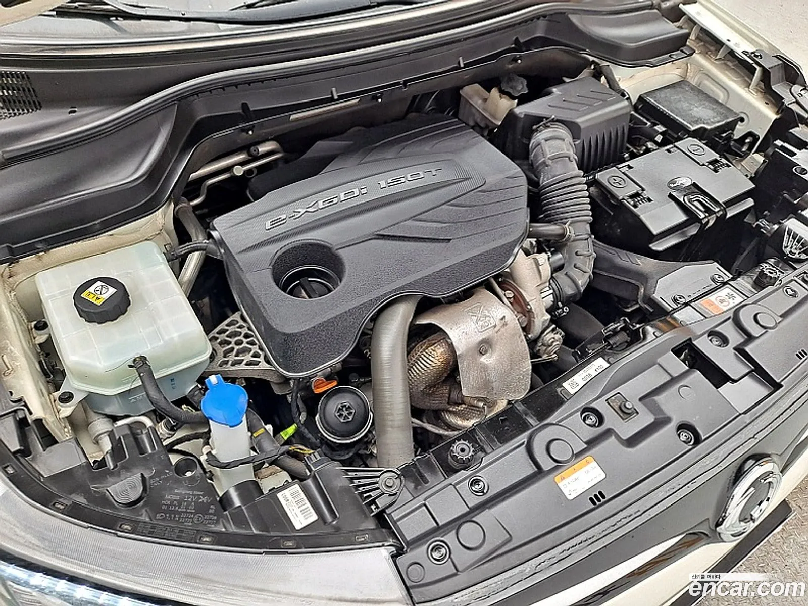 Ssangyong Tivoli Tivoli Gasoline 15 2Wd 2020 - фотография 14906478