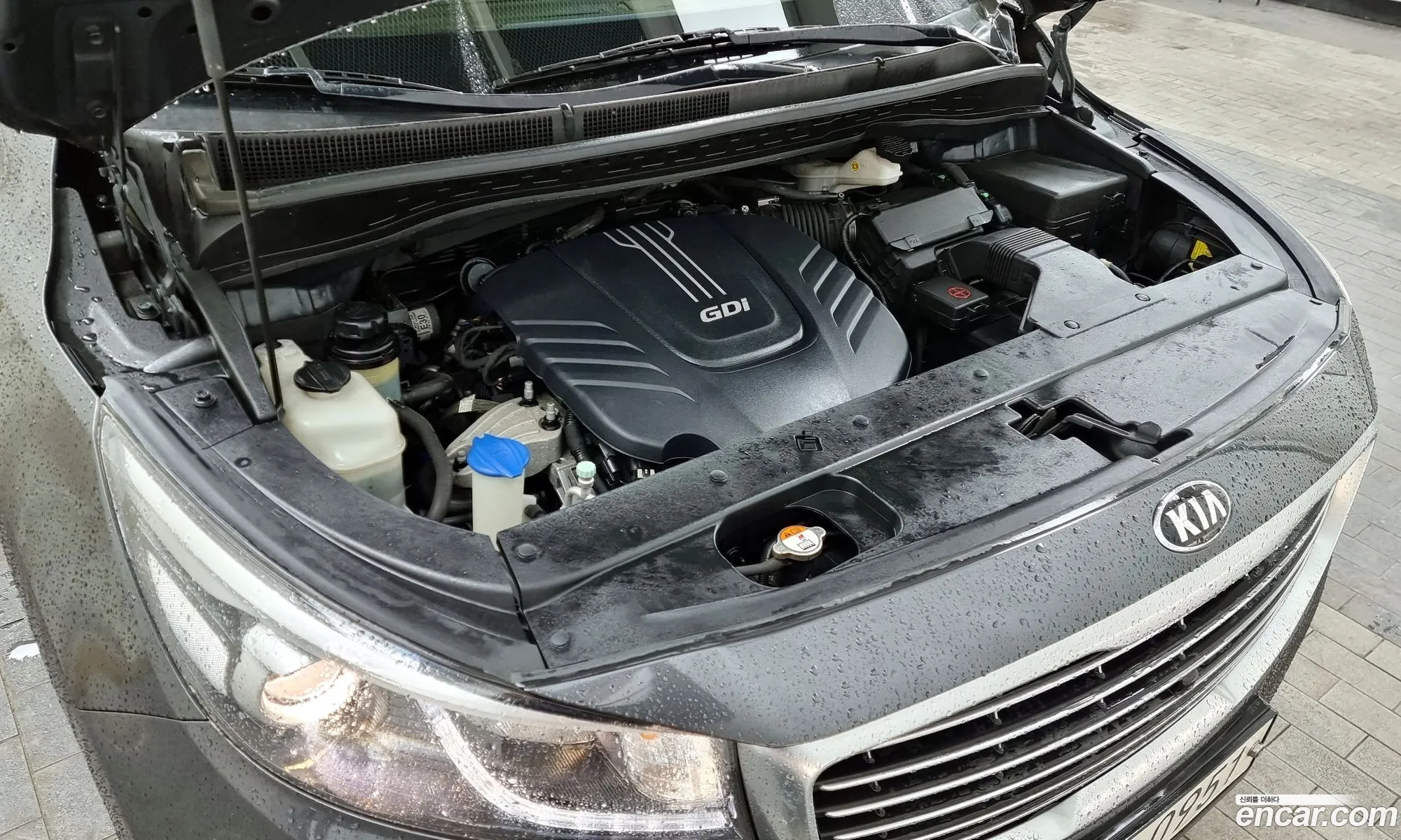Kia Carnival Gasoline 7-Seater Limousine 2016 - фотография 14204558