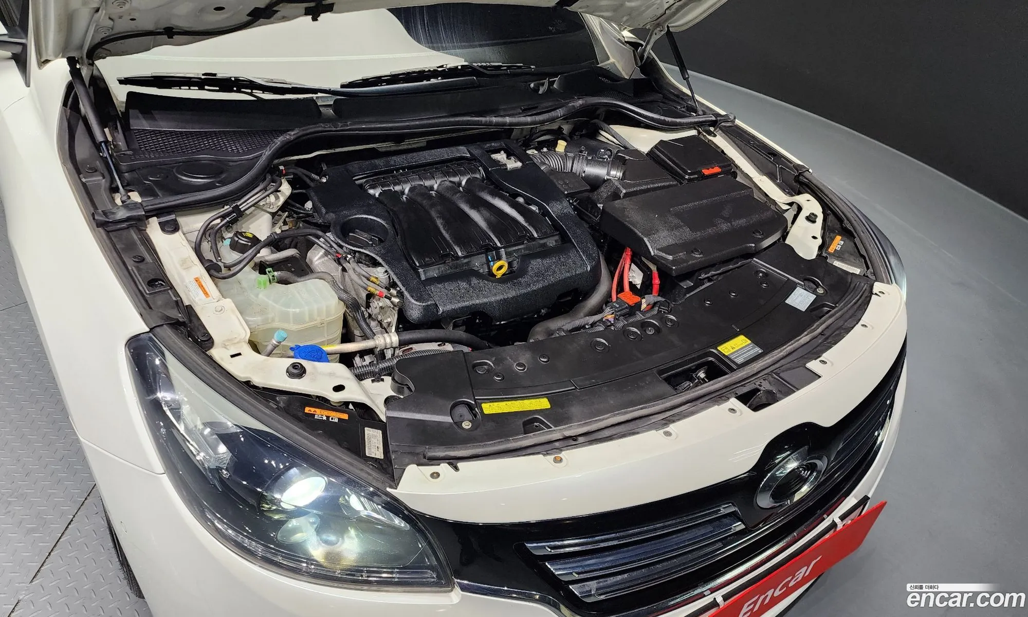 Renault Samsung Sm7 Lpli 20 Lpe For The Disabled 2017 - фотография 1798017