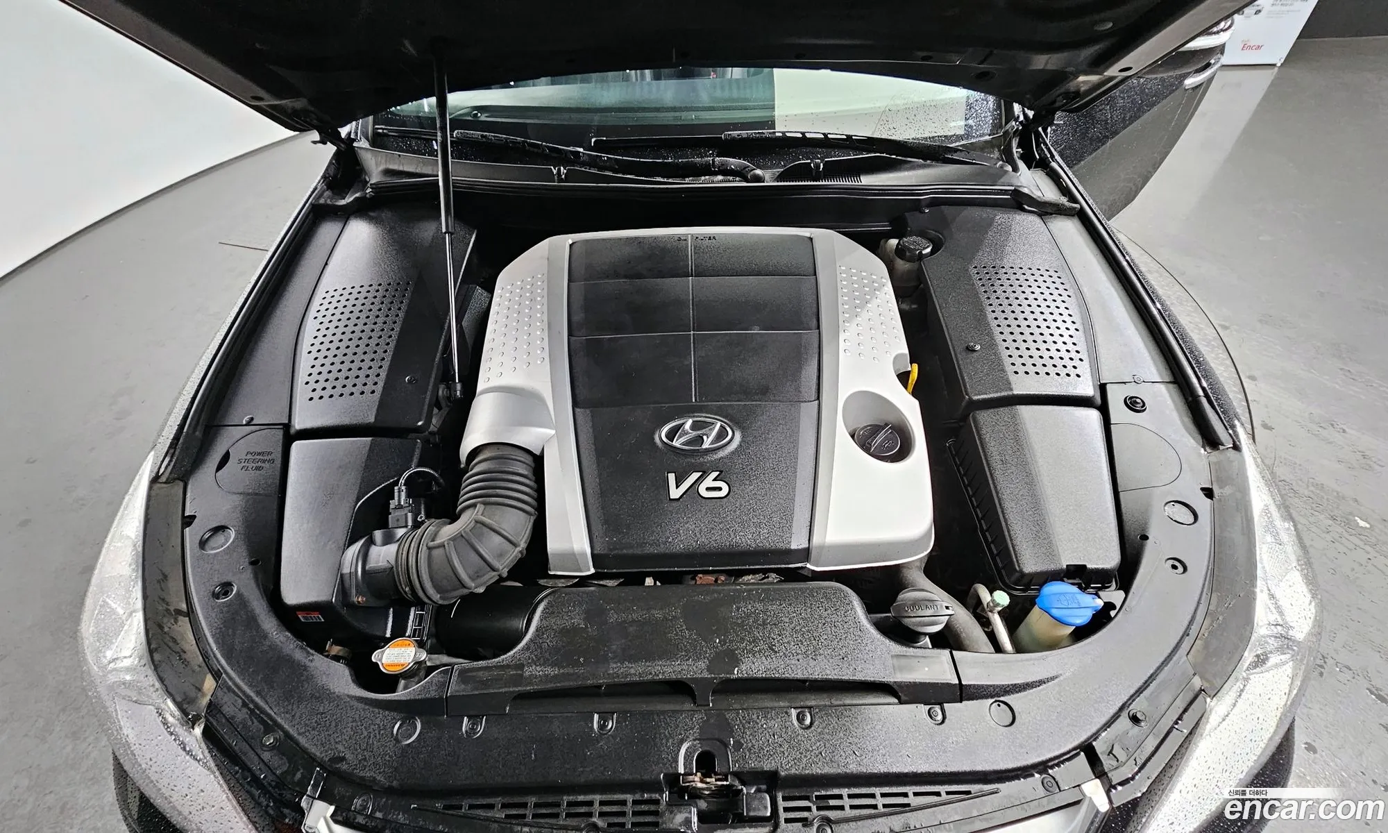 Hyundai Genesis I Bh330 Luxury 2010 - фотография 11850120