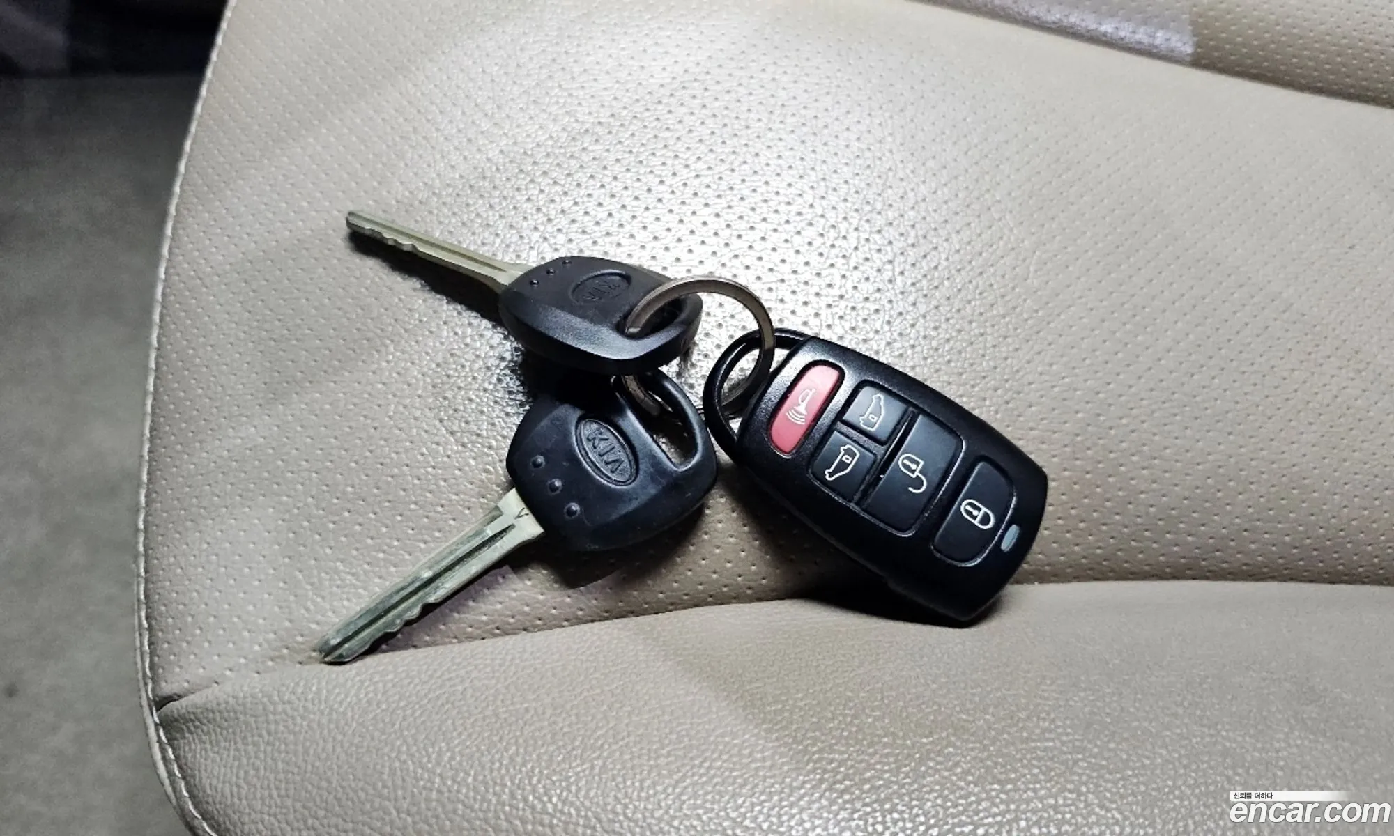 Korex Auto Trade - фотография 11788759