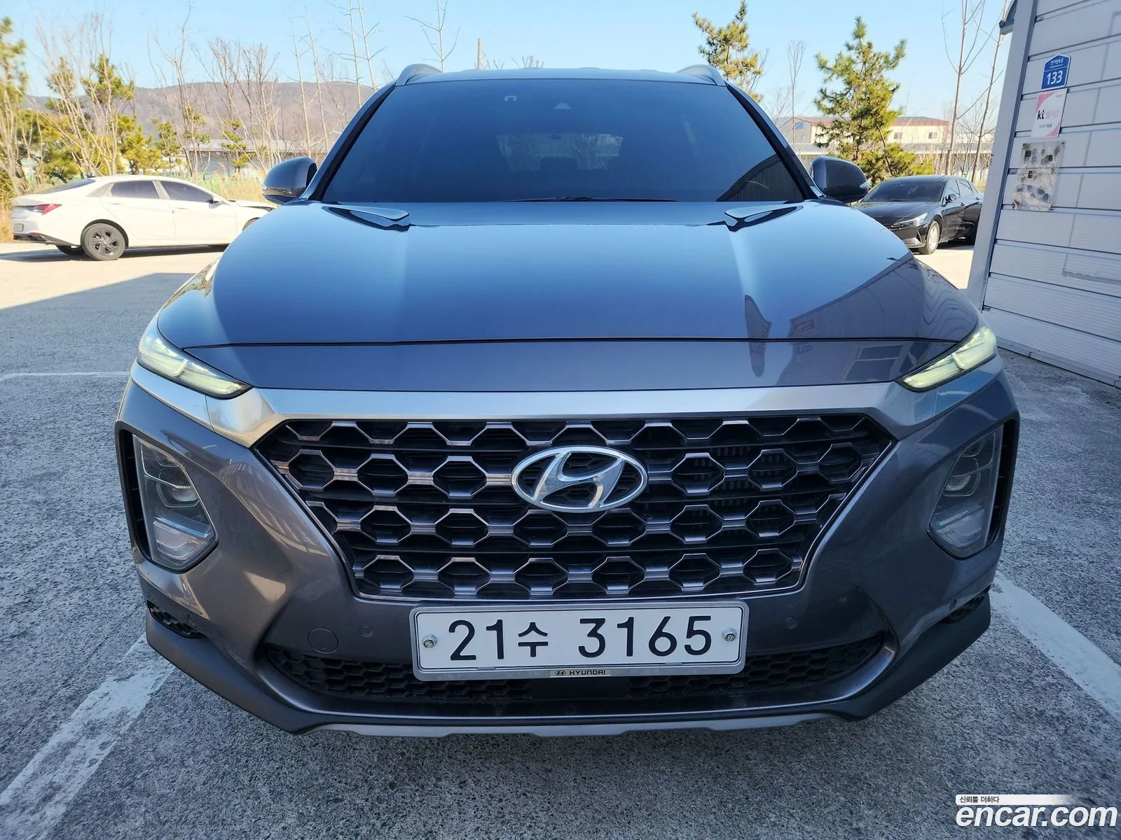 Hyundai Santa Fe Diesel 20 2Wd 2019 - фотография 18151212
