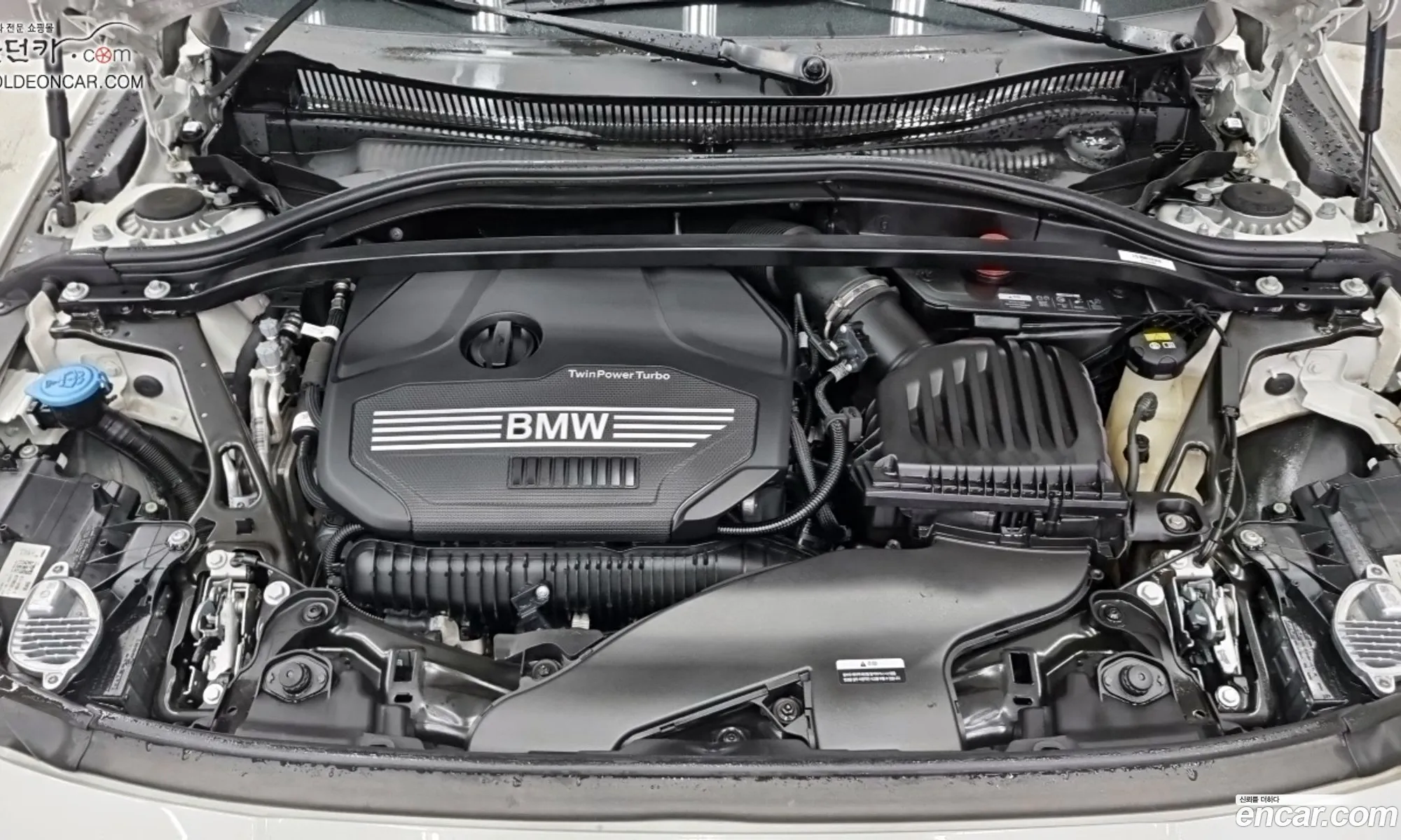 BMW 1Er Iii F40 120I M Sports 2022 - фотография 338175