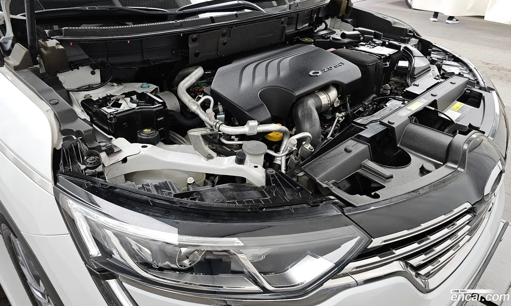 Renault Samsung Qm6 Diesel 2Wd Re 2019 - фотография 18870585