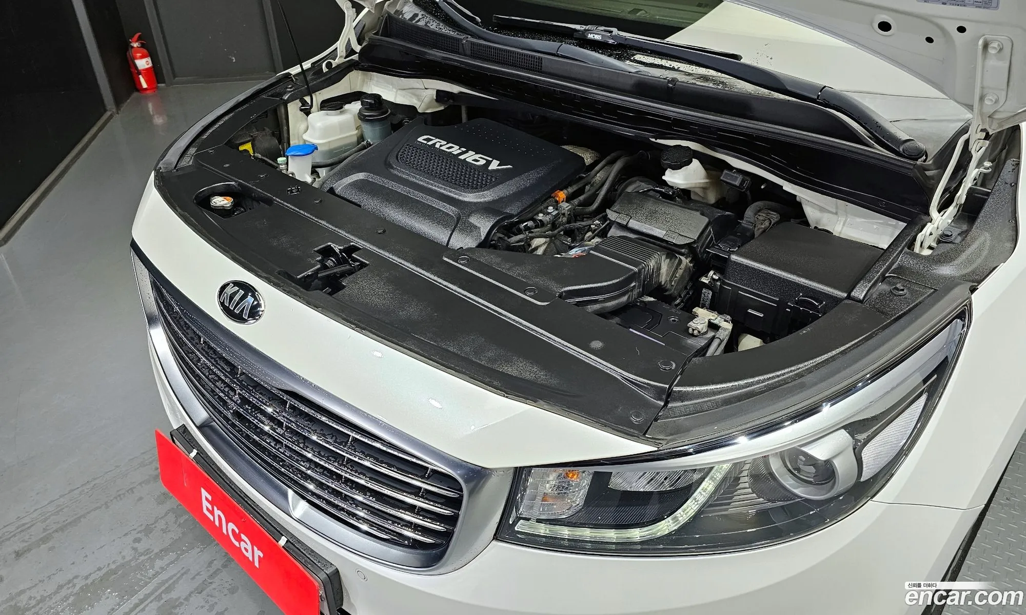 Kia Carnival 9-Seater Noblesse Special 2018 - фотография 19018531