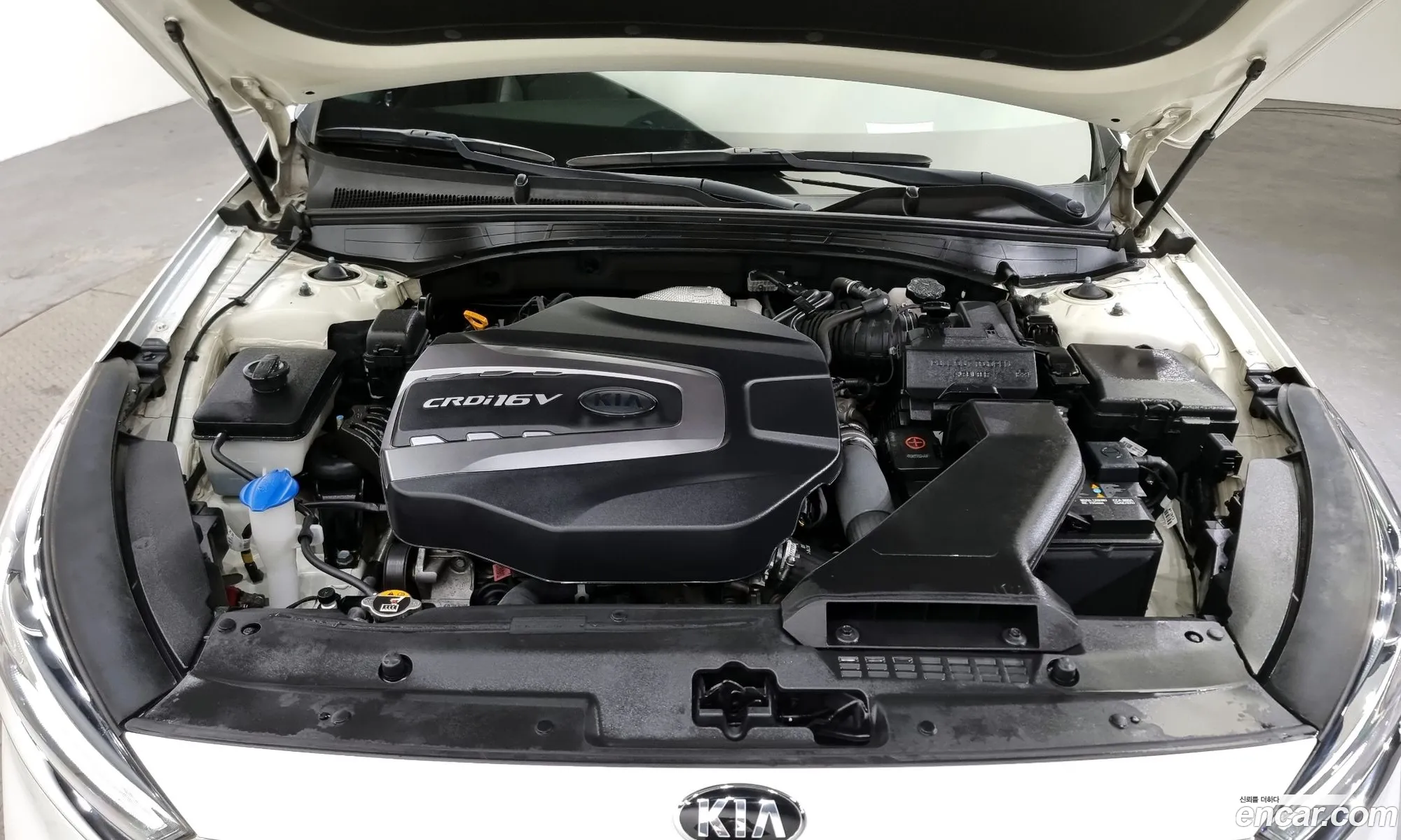 Korex Auto Trade - фотография 11346138