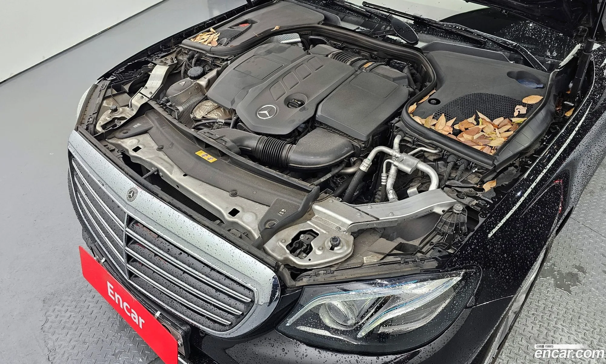 Mercedes-Benz E-Klasse V W213 S213 C238 E220D 4Matic Exclusive 2018 - фотография 12575964
