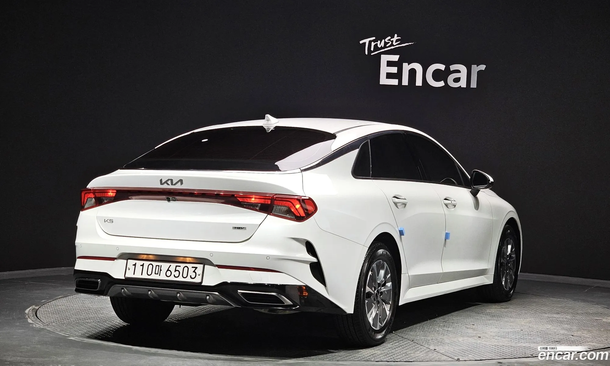 Kia K5 Trendy 2023 - фотография 16812266