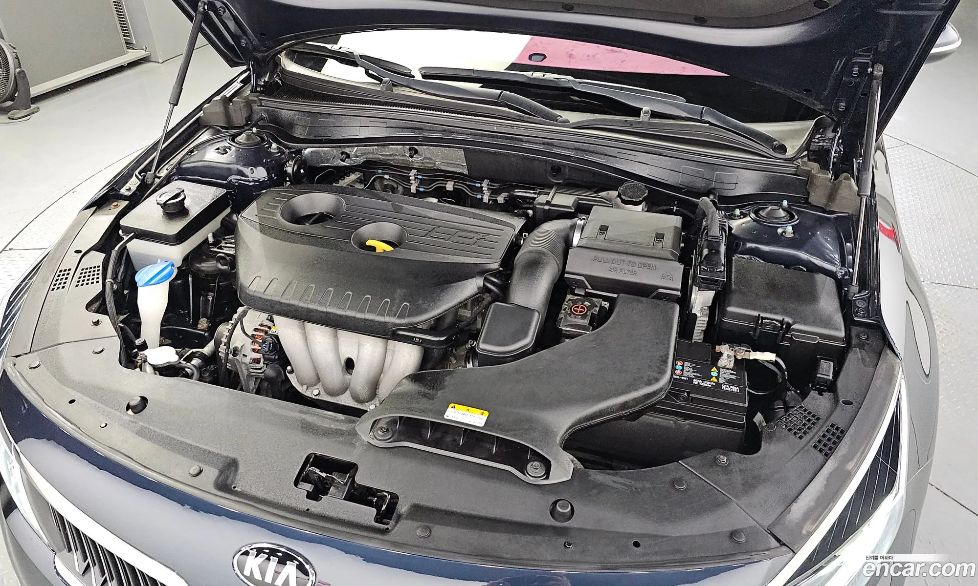 Kia K5 Ii 20 For Lpi Rental Car 2019 - фотография 19260406