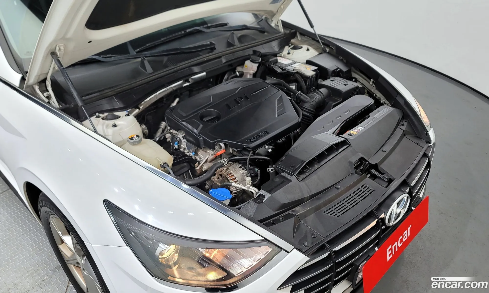 Hyundai Sonata Viii Dn8 20 Lpg For Rental Cars 2020 - фотография 19155365