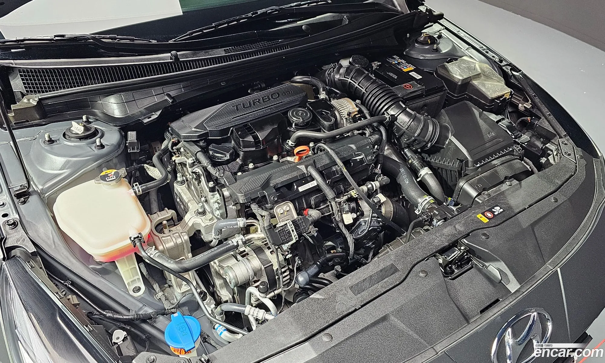 Hyundai Avante Vi 16 Turbo N Line 2021 - фотография 17322446