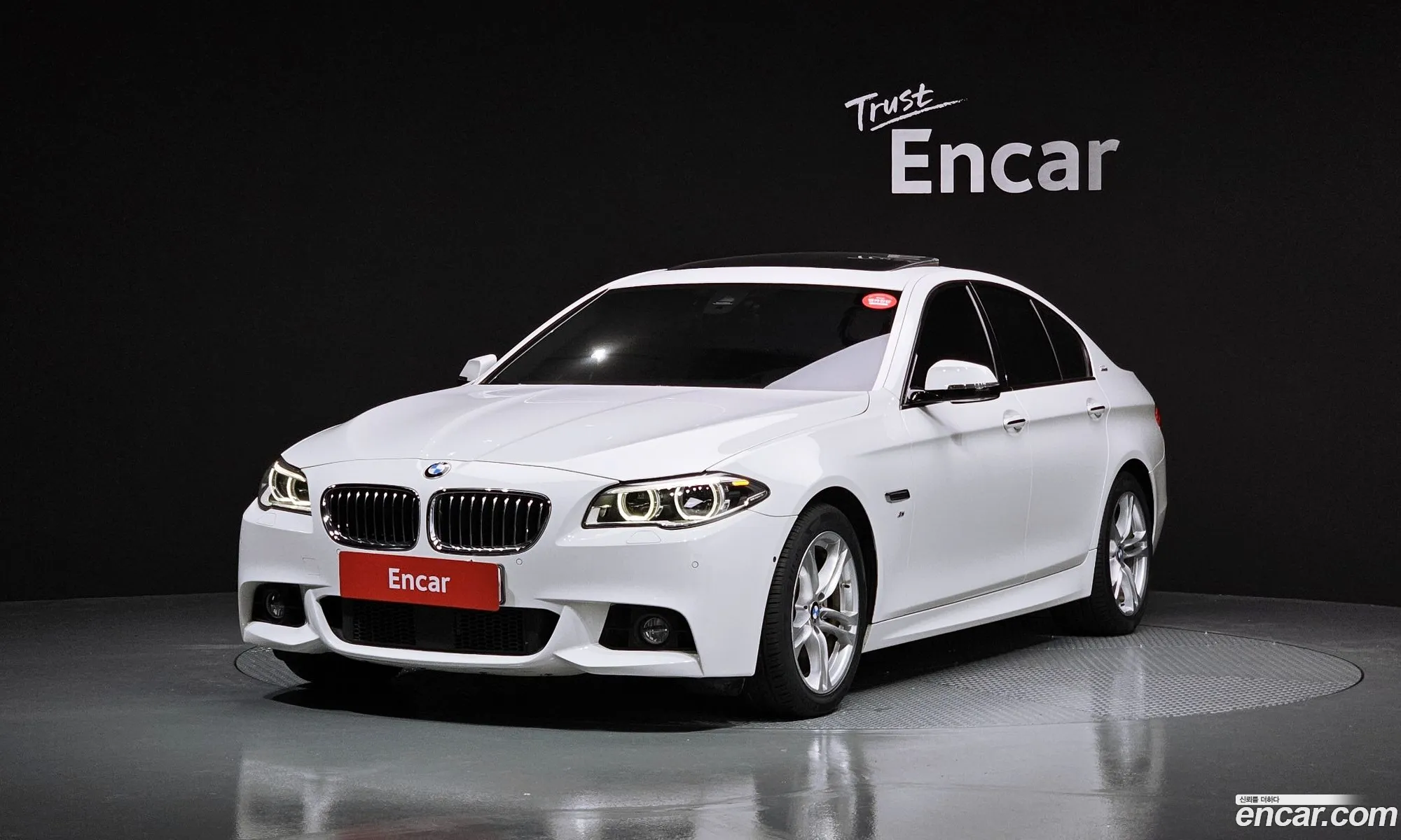 BMW 5Er 520D xDrive M Aerodynamics 2016 - фотография 12528052