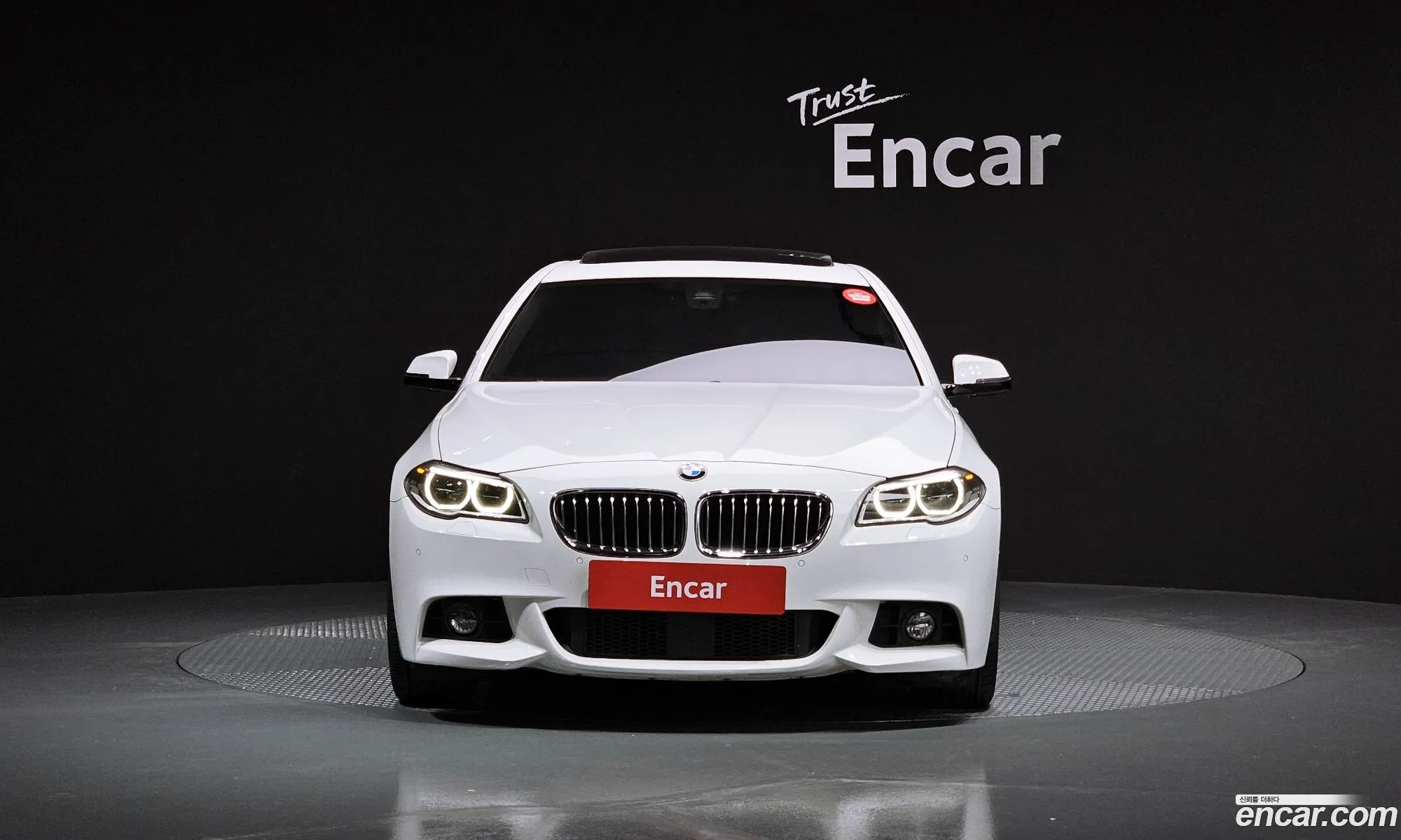 BMW 5Er 520D xDrive M Aerodynamics 2016 - фотография 12528054