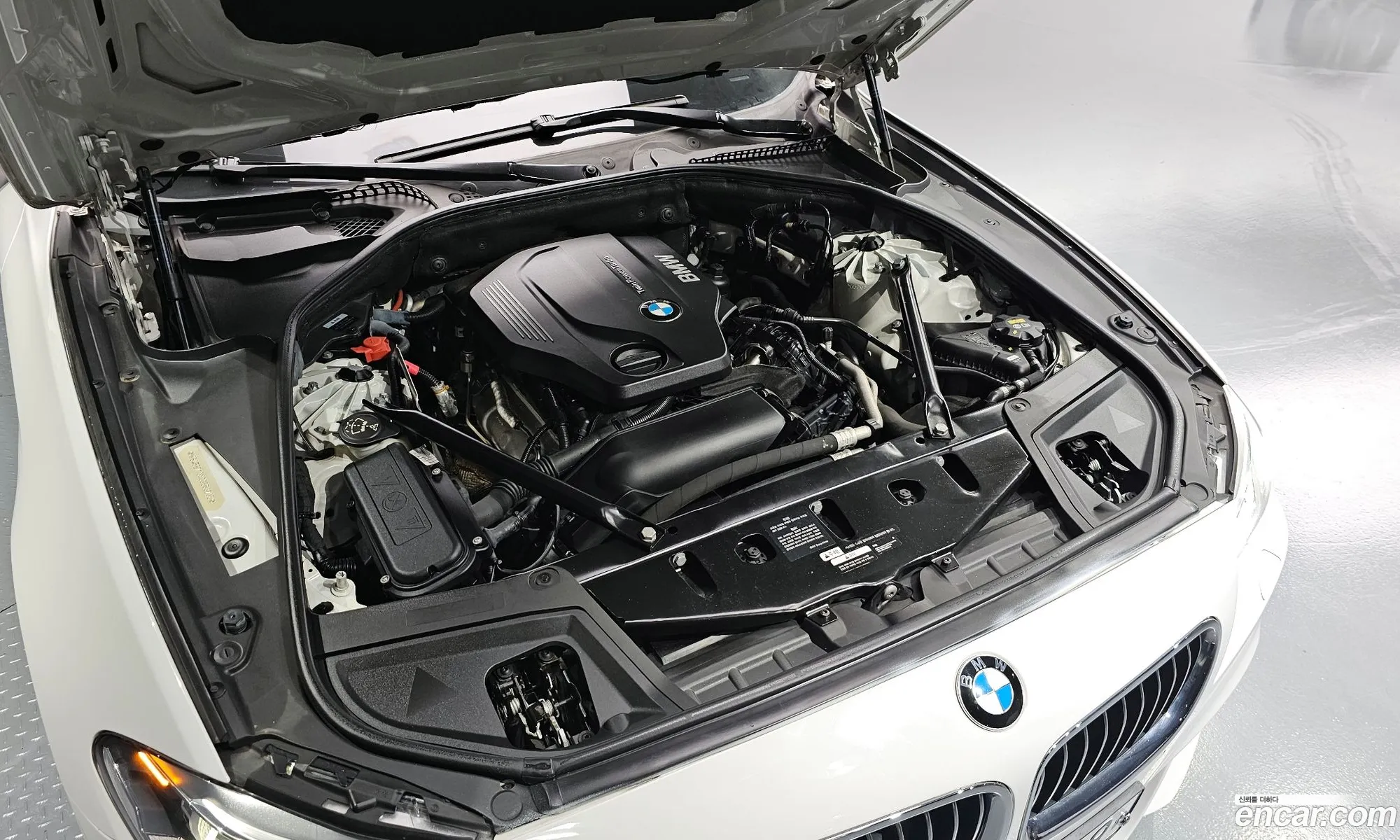 BMW 5Er 520D xDrive M Aerodynamics 2016 - фотография 12528057