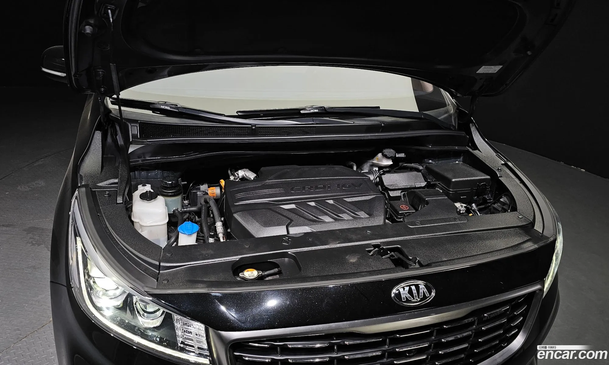 Kia Carnival Iii 9-Seater High Limousine 2019 - фотография 15067681
