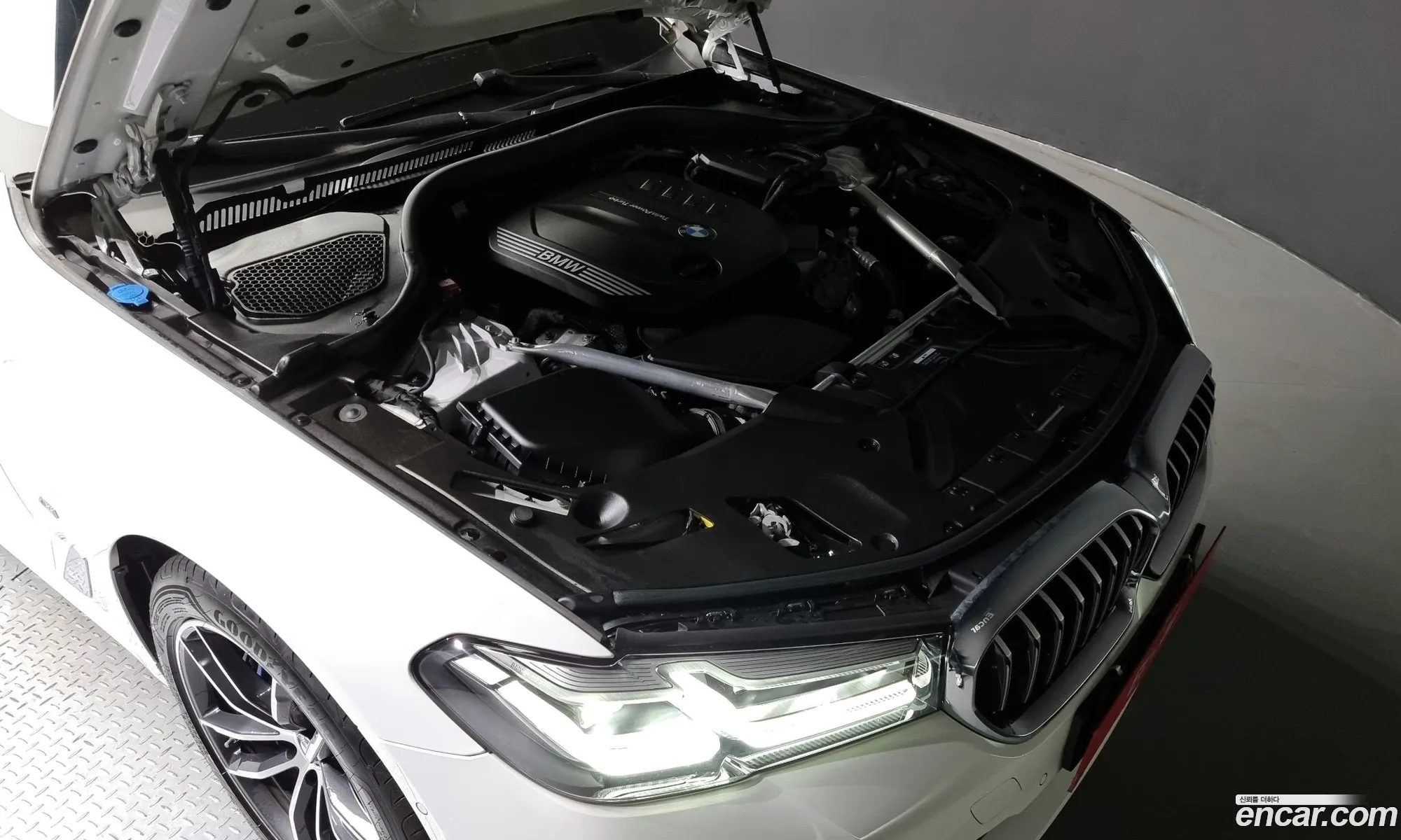 BMW 5Er 523D M Sports 2023 - фотография 16668932