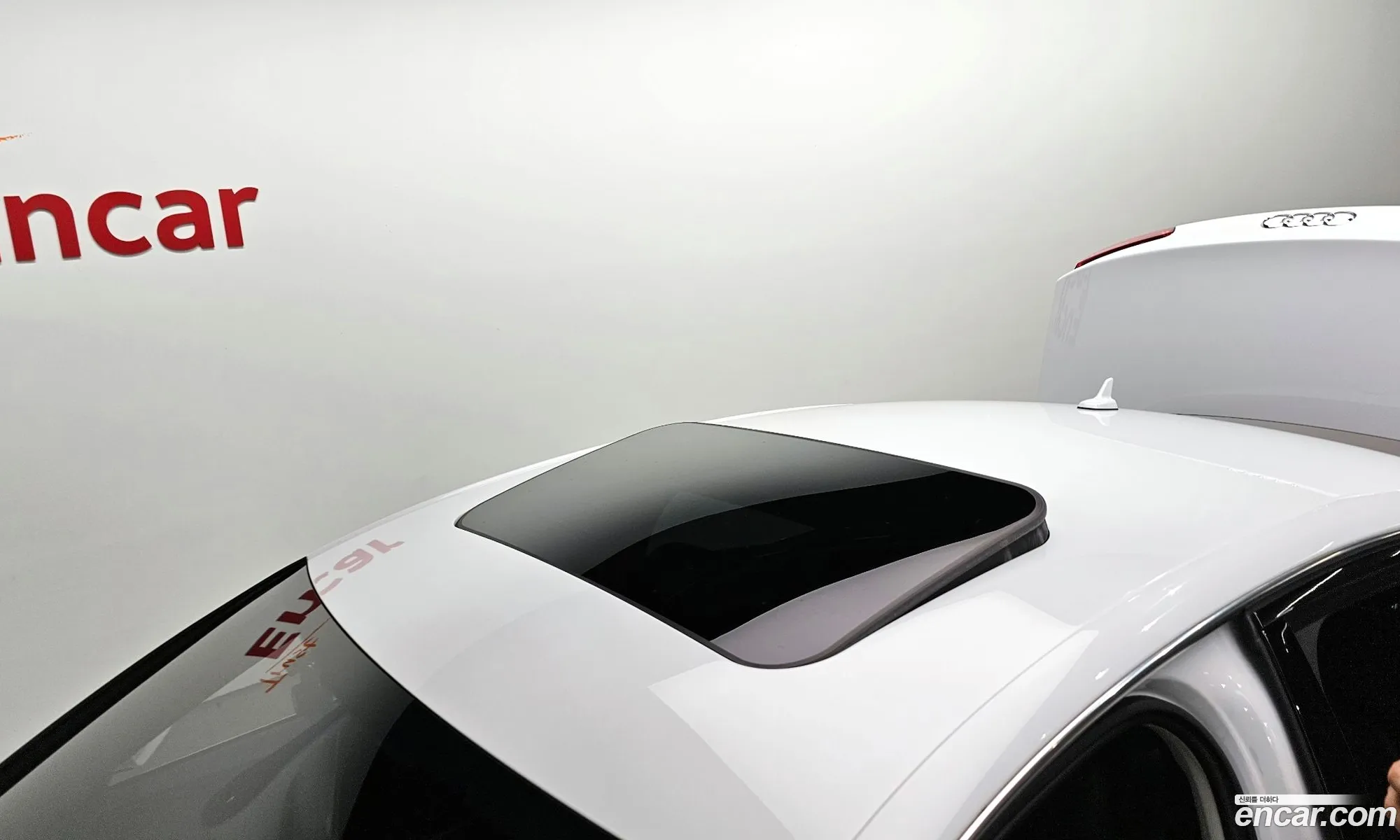 Korex Auto Trade - фотография 52550