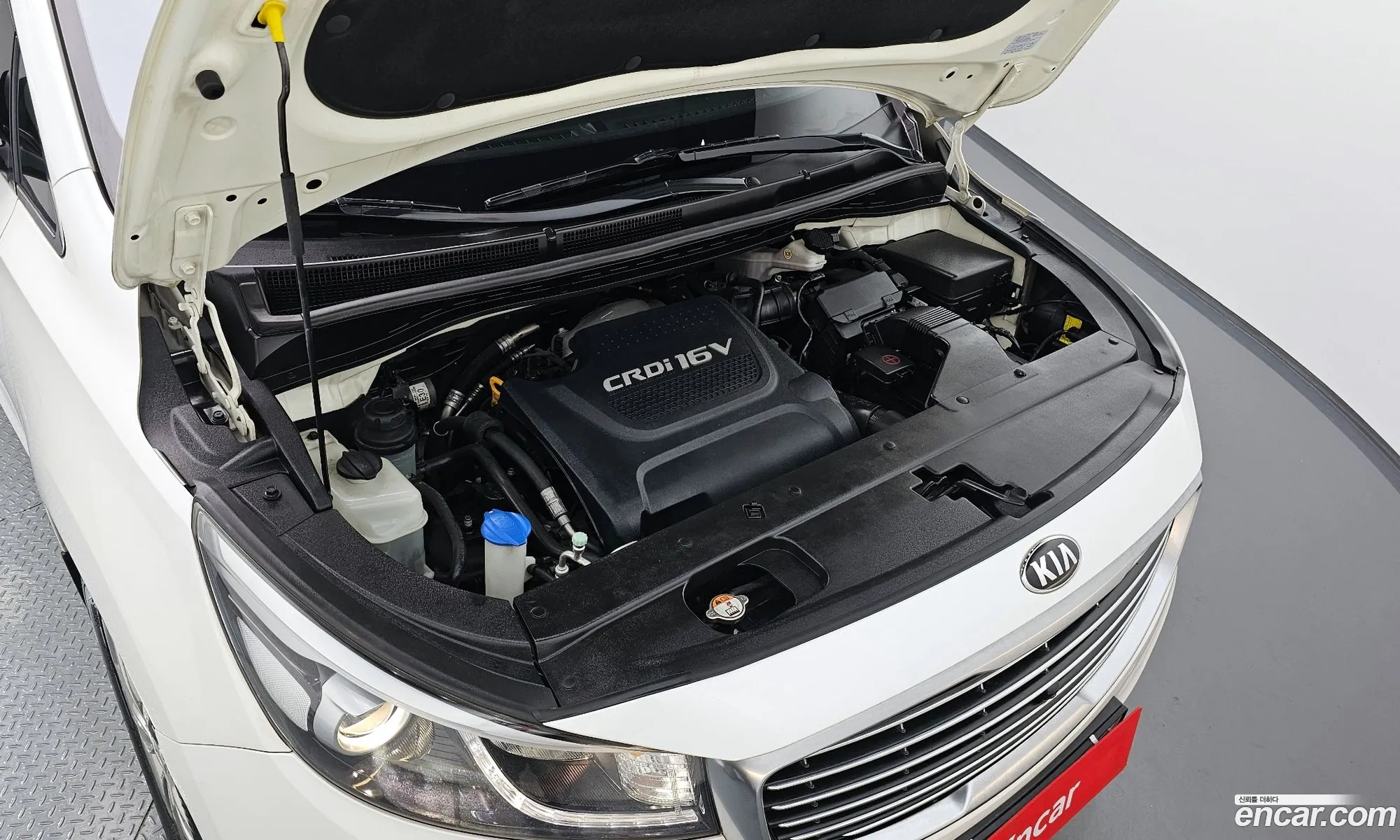 Kia Carnival 7-Seater Limousine 2016 - фотография 13544247