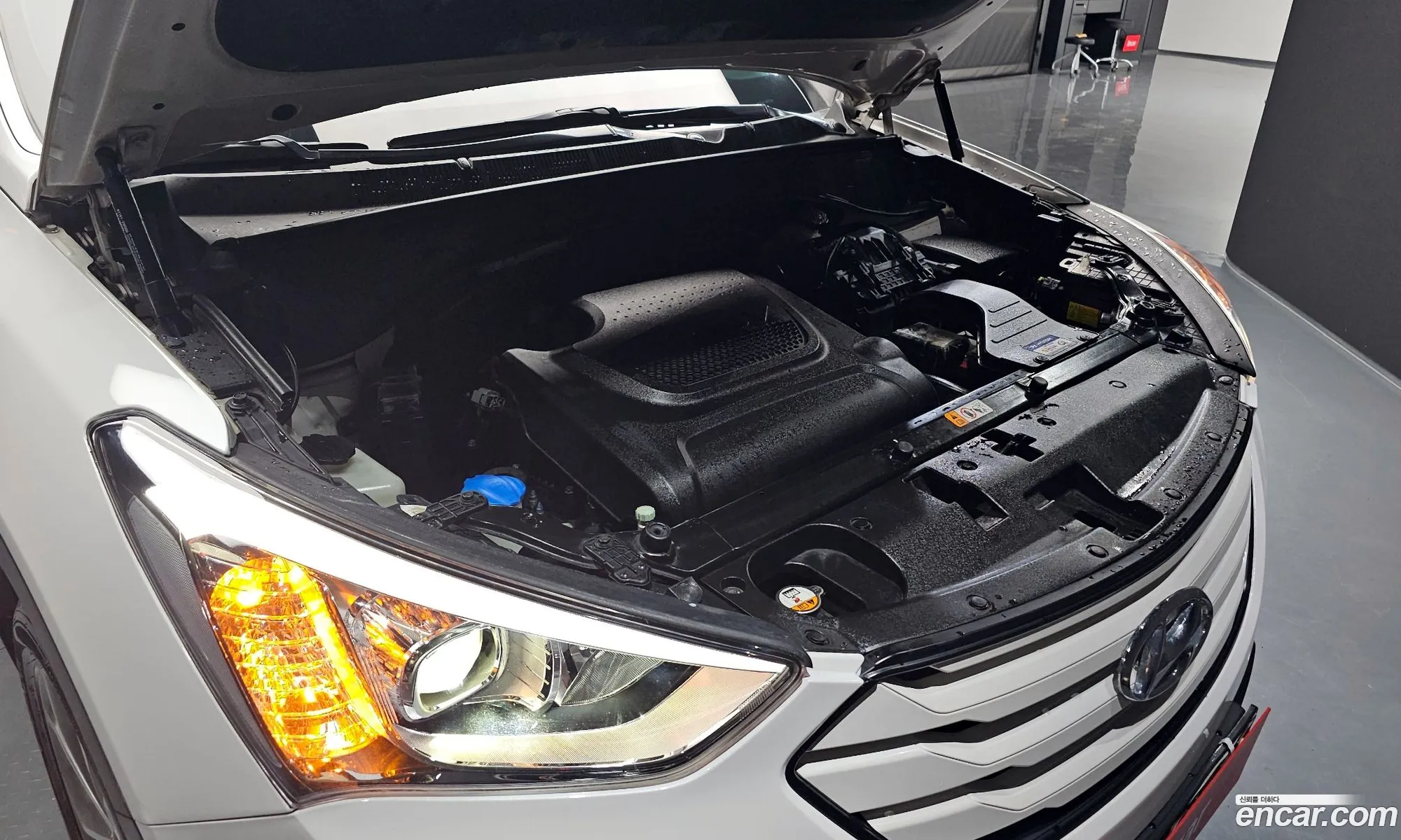 Hyundai Santa Fe Iii Diesel E-Vgt 20 2Wd Exclusive 2015 - фотография 16019534