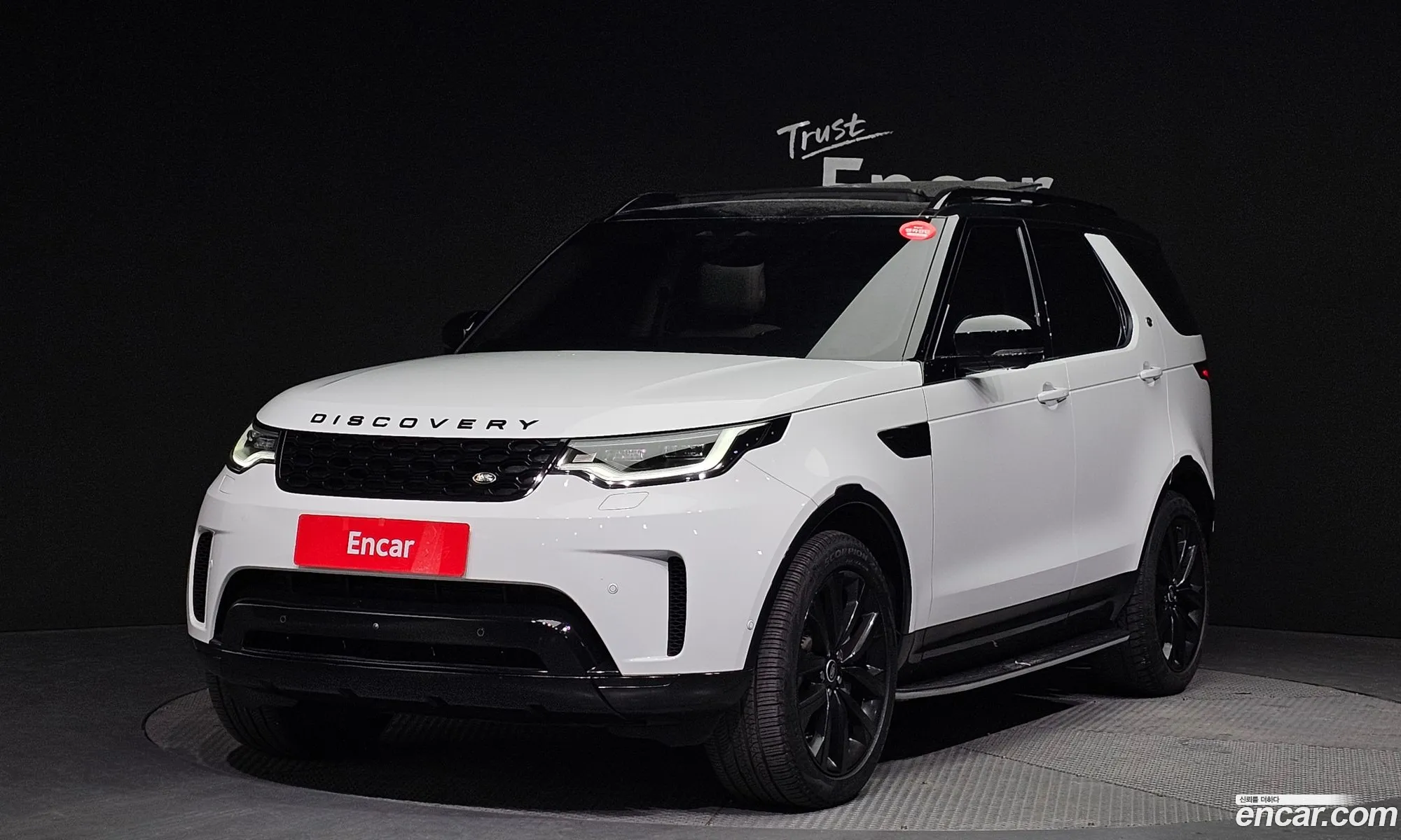 Land Rover Discovery D250Se 2023 - фотография 6998487