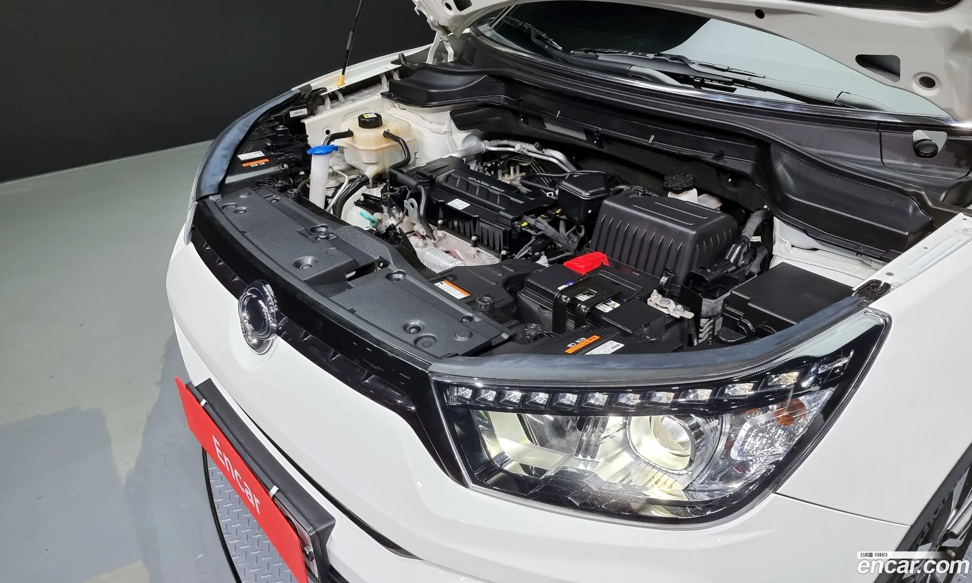 Ssangyong Tivoli Tivoli Gear Plus 2Wd 2019 - фотография 17284660