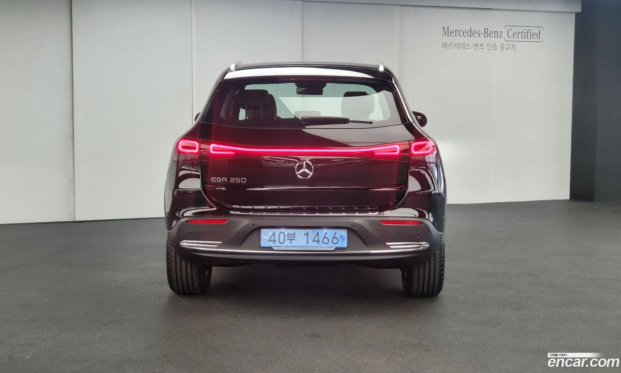 Mercedes-Benz Eqa Eqa250 2024 - фотография 12634295