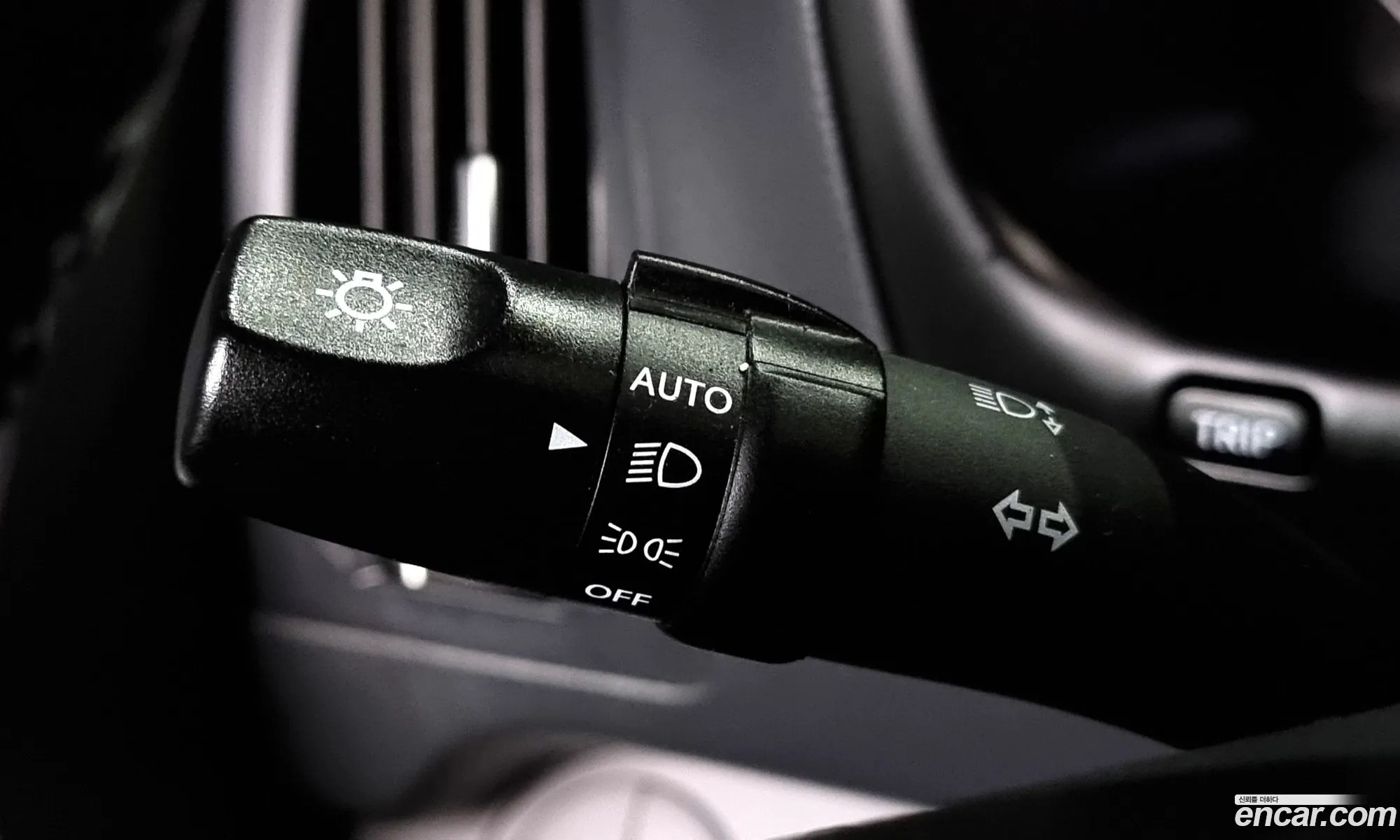 Korex Auto Trade - фотография 11922127