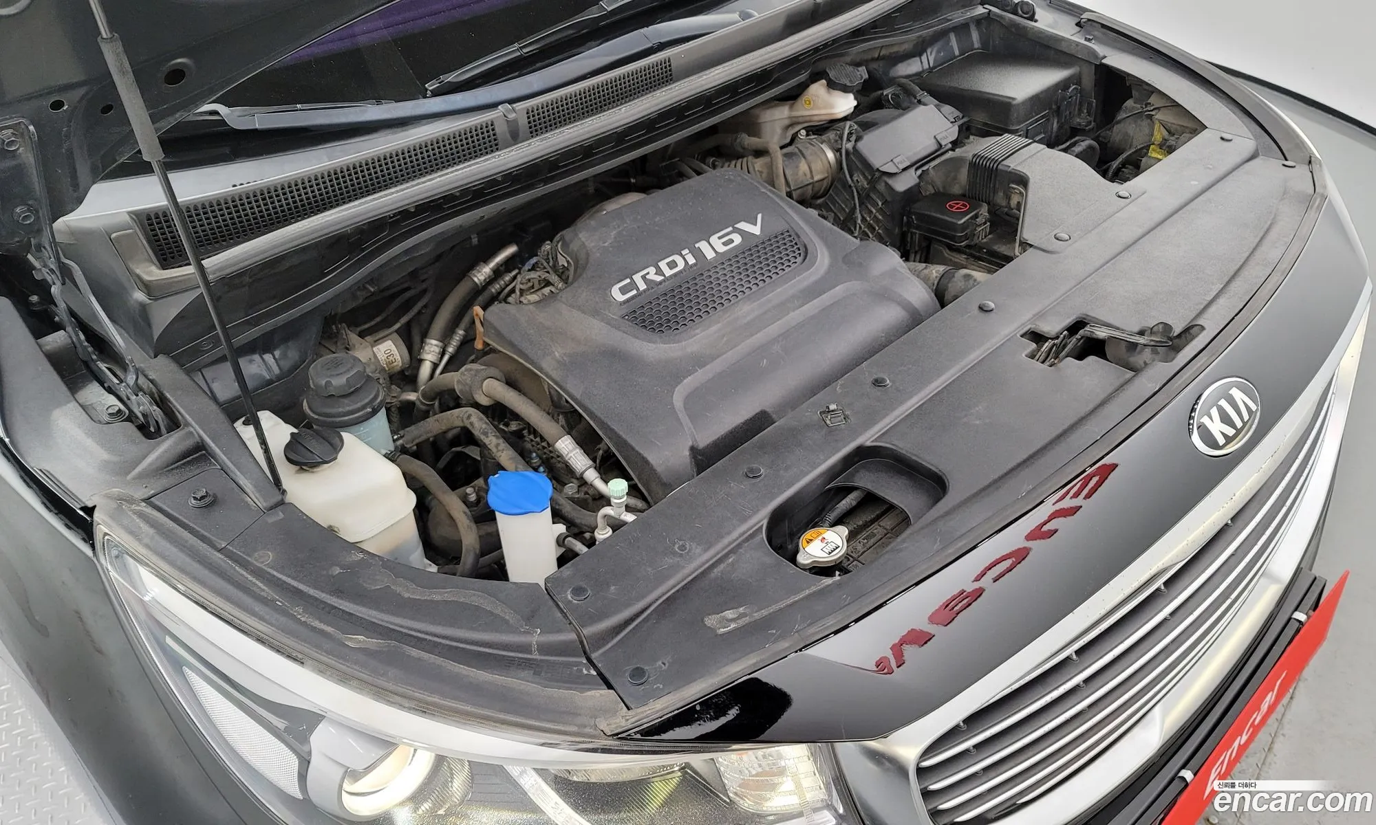 Korex Auto Trade - фотография 15792290