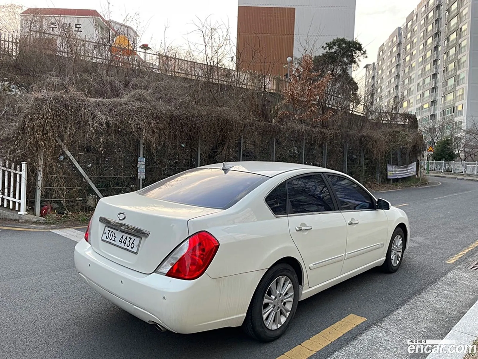 Korex Auto Trade - фотография 11801854