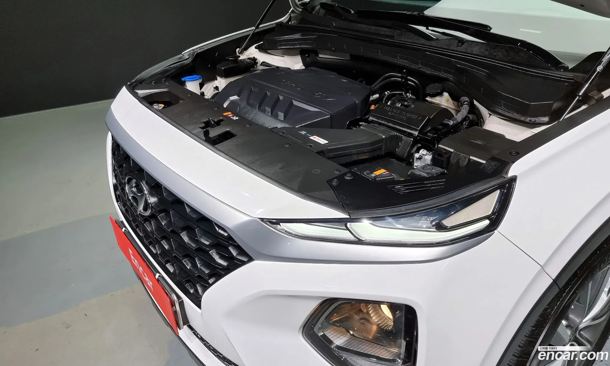 Hyundai Santa Fe Diesel 20 2Wd 2019 - фотография 19789156