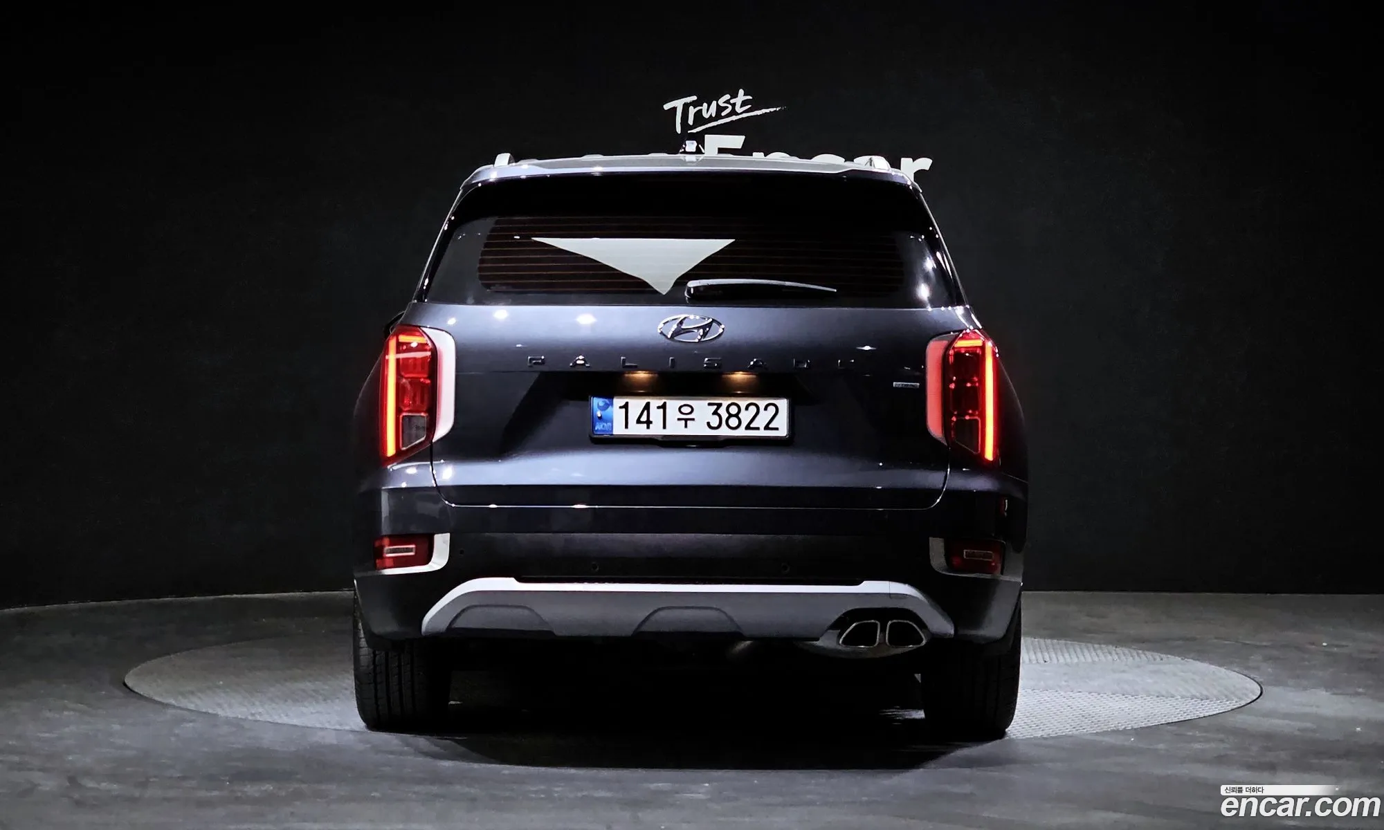 Hyundai Palisade I Gasoline 38 4Wd 2022 - фотография 12126098