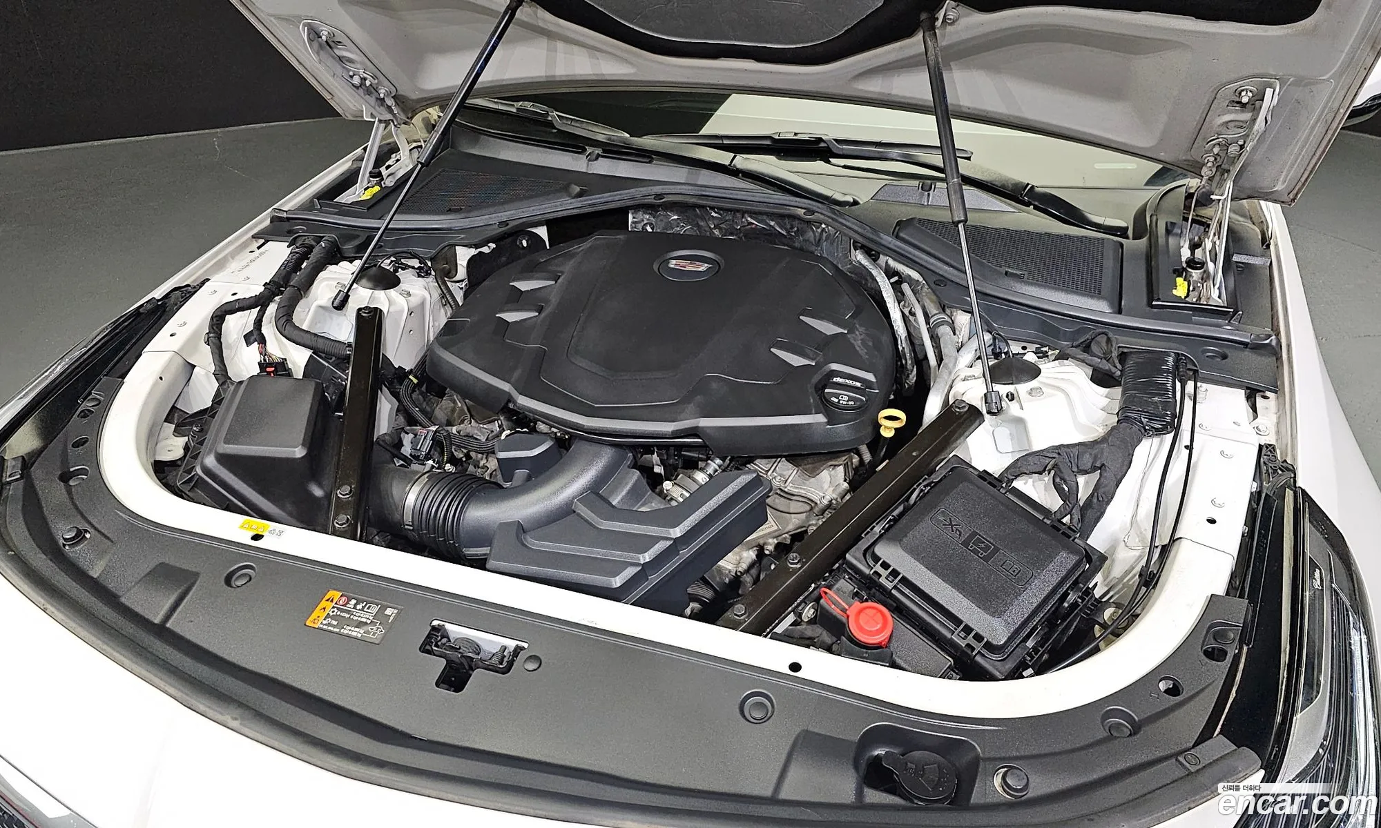 Cadillac Ct6 I 36 Platinum Awd 2019 - фотография 14538493