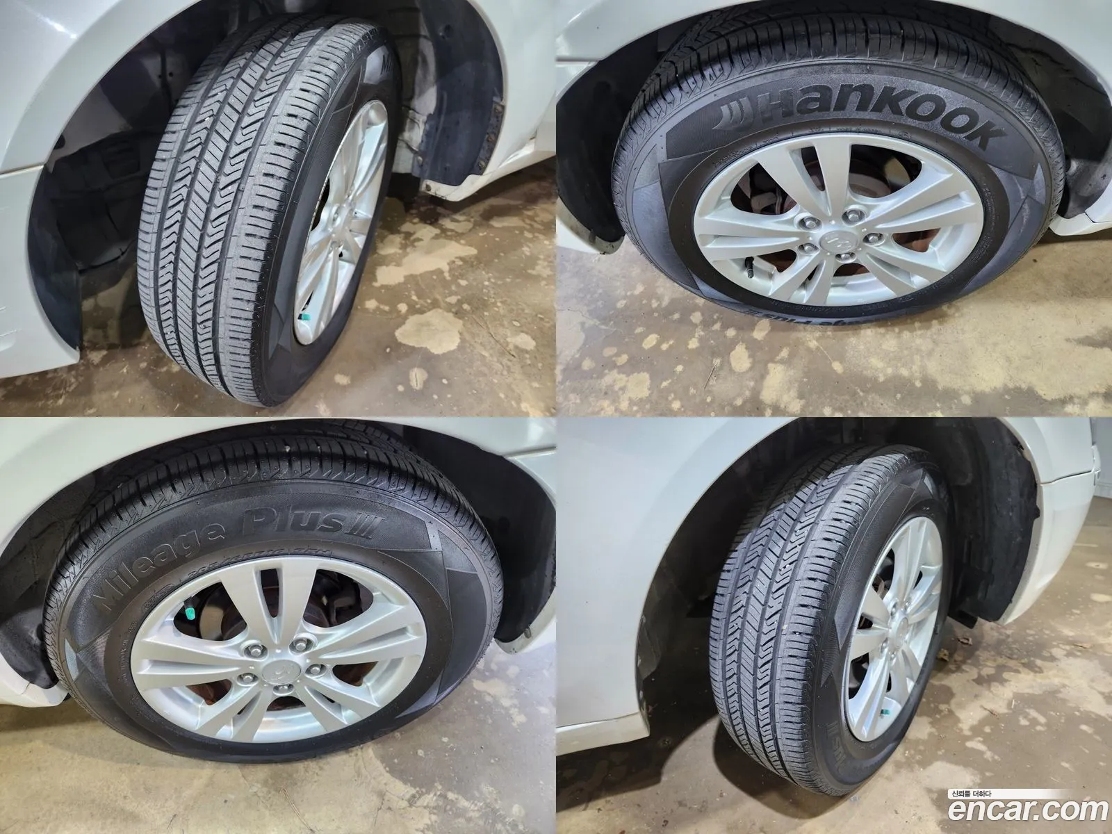 Korex Auto Trade - фотография 13371450