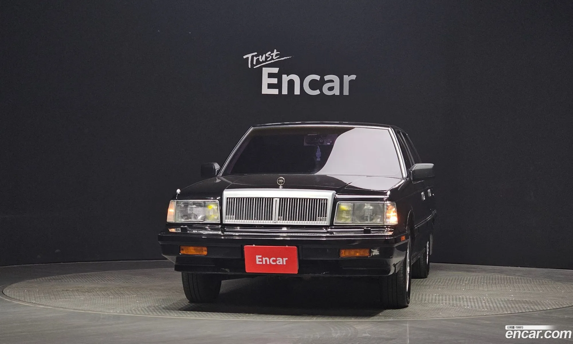 Hyundai Grandeur I 20 1990 - фотография 19259232