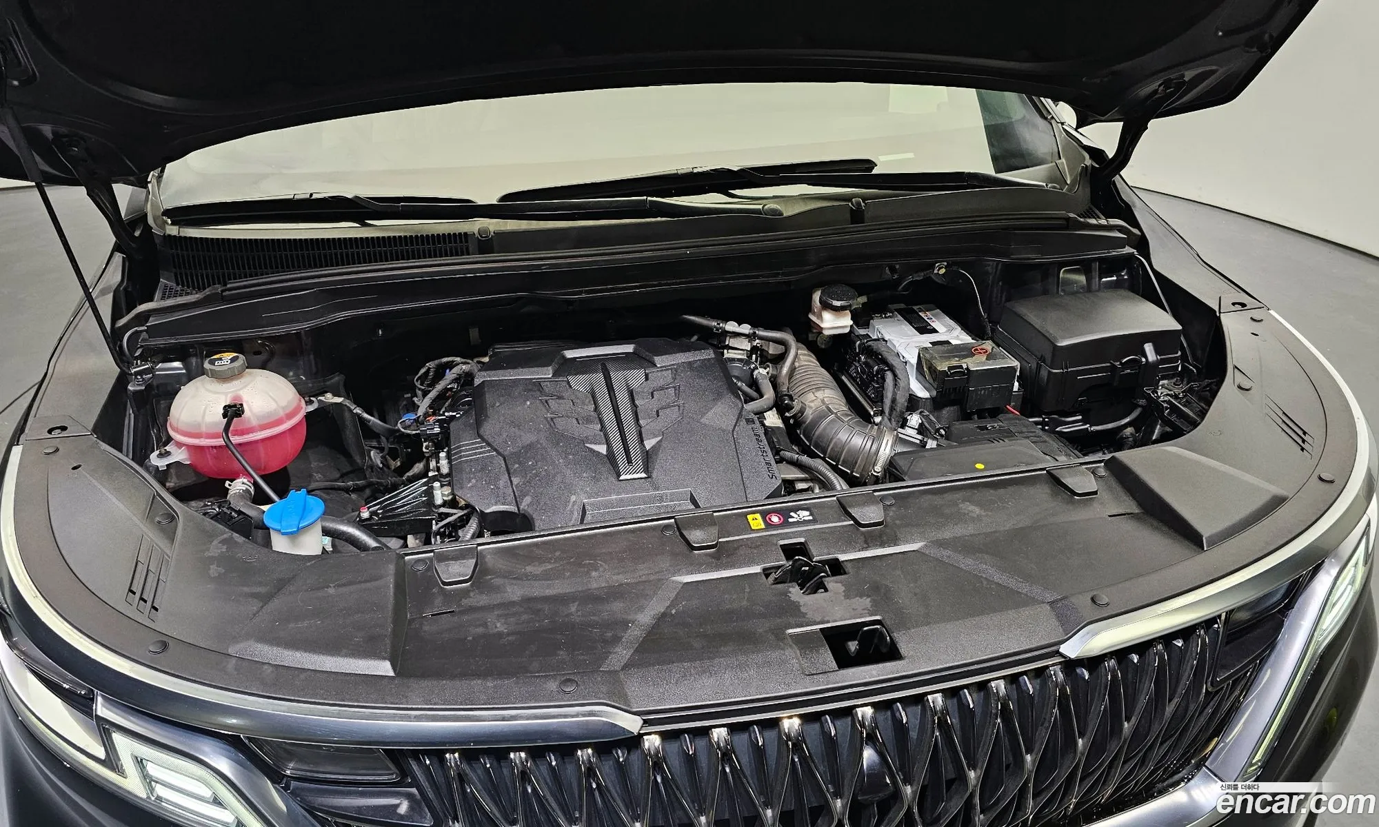 Kia Carnival Gasoline 9-Seater High Limousine Specially Equipped Company 2021 - фотография 11992517
