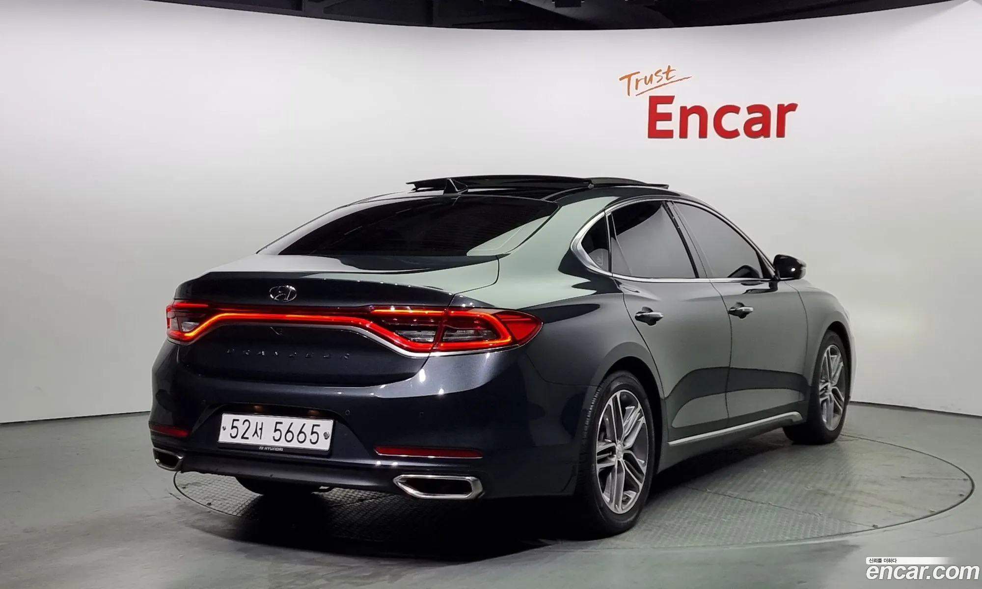 Hyundai Grandeur 30 Lpi For The Disabled 2017 - фотография 15997160