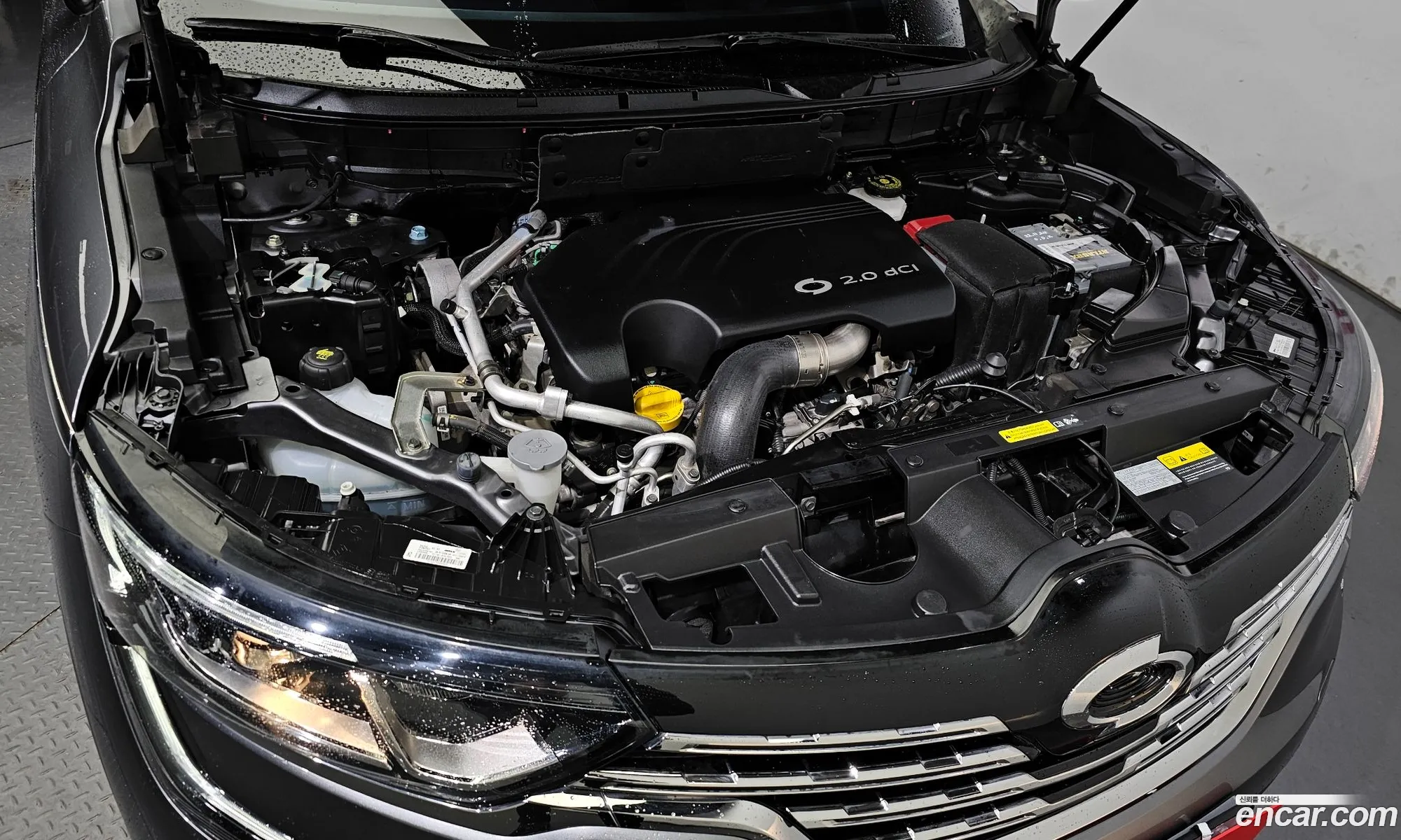 Renault Samsung Qm6 Diesel 4Wd Re 2017 - фотография 10768416